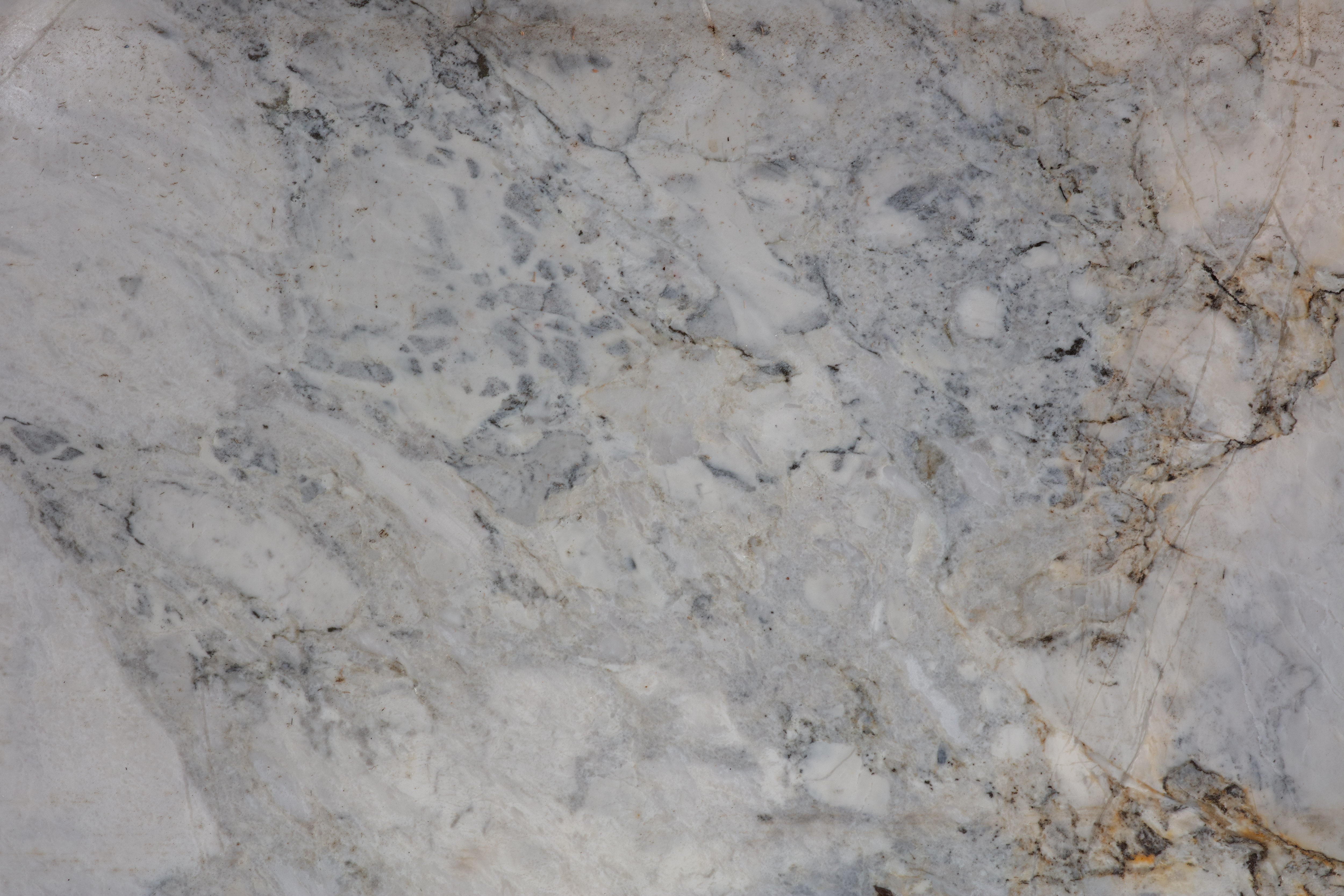 CALACATTA MICHELANGELO  - фото 7