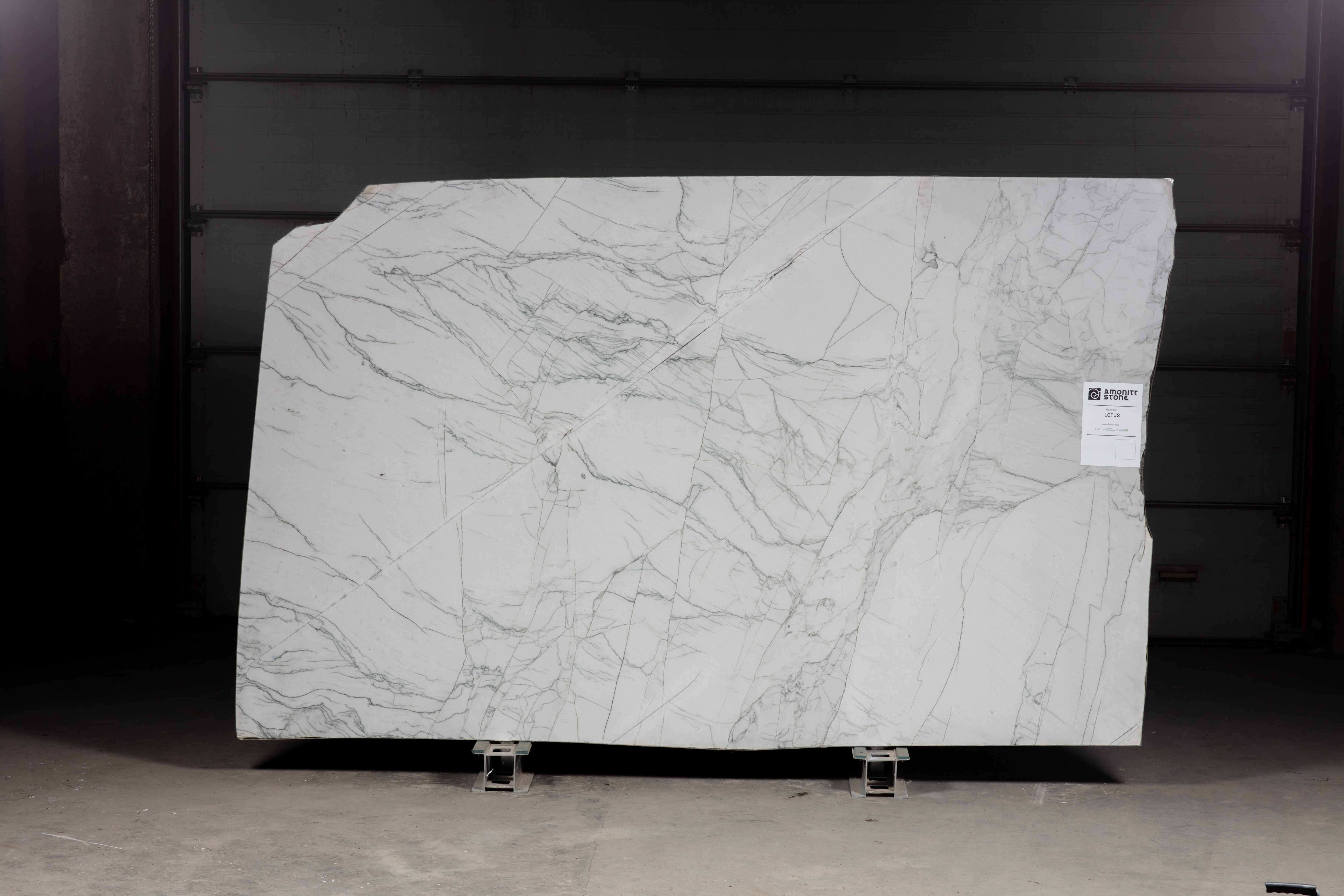 CALACATTA MICHELANGELO  - фото 1