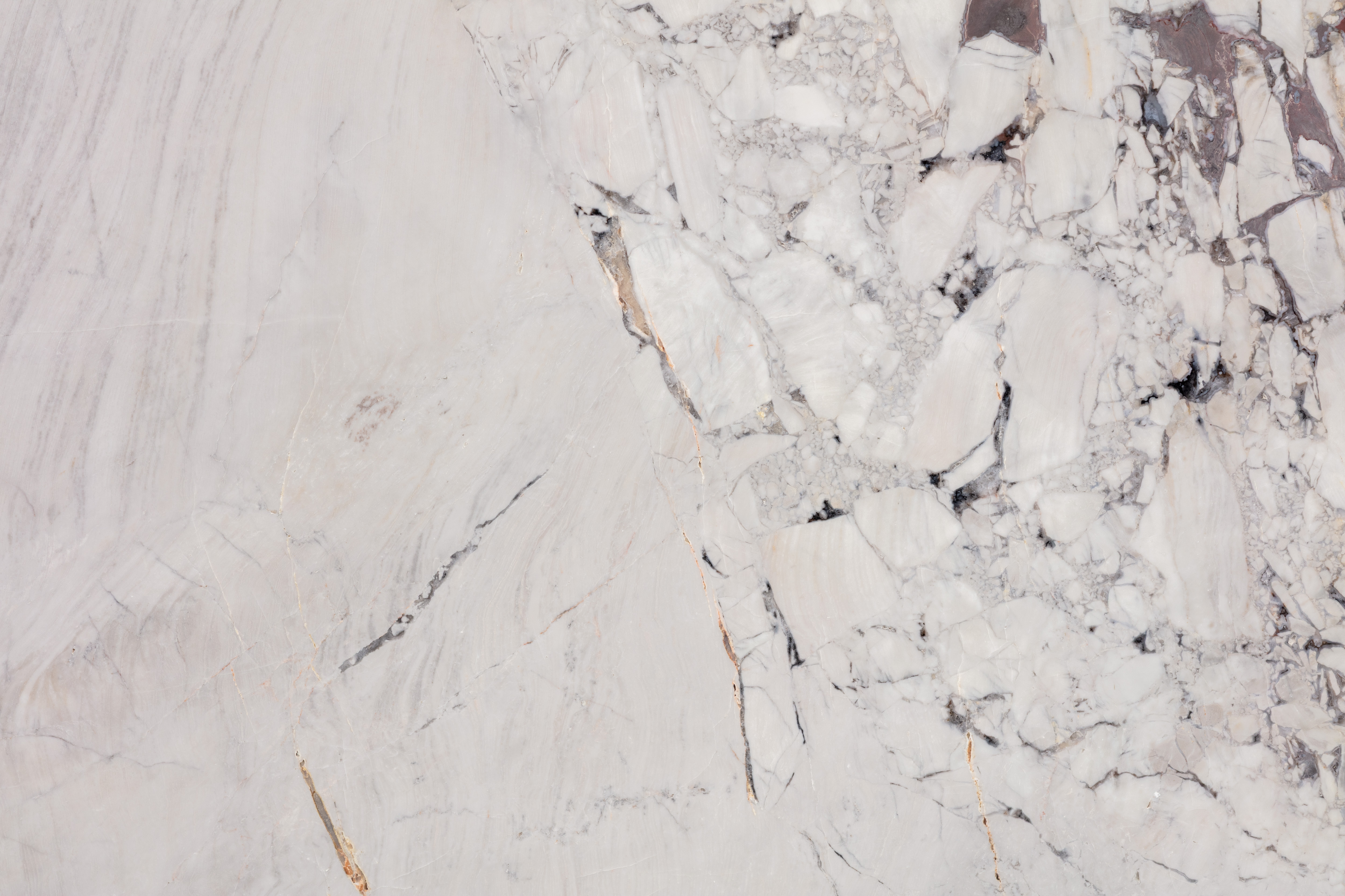 BOSSA NOVA - фото 2