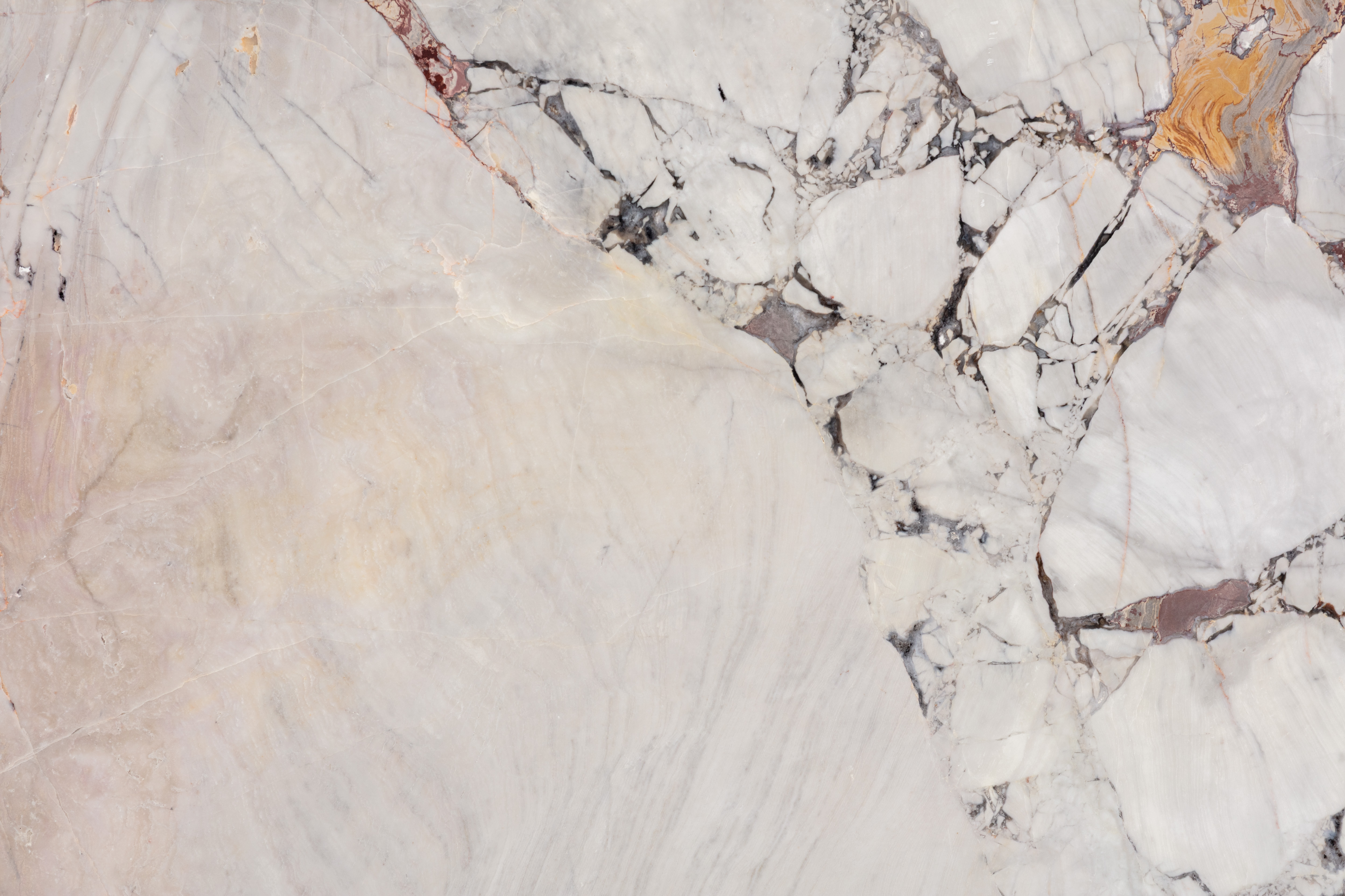 BOSSA NOVA - фото 3