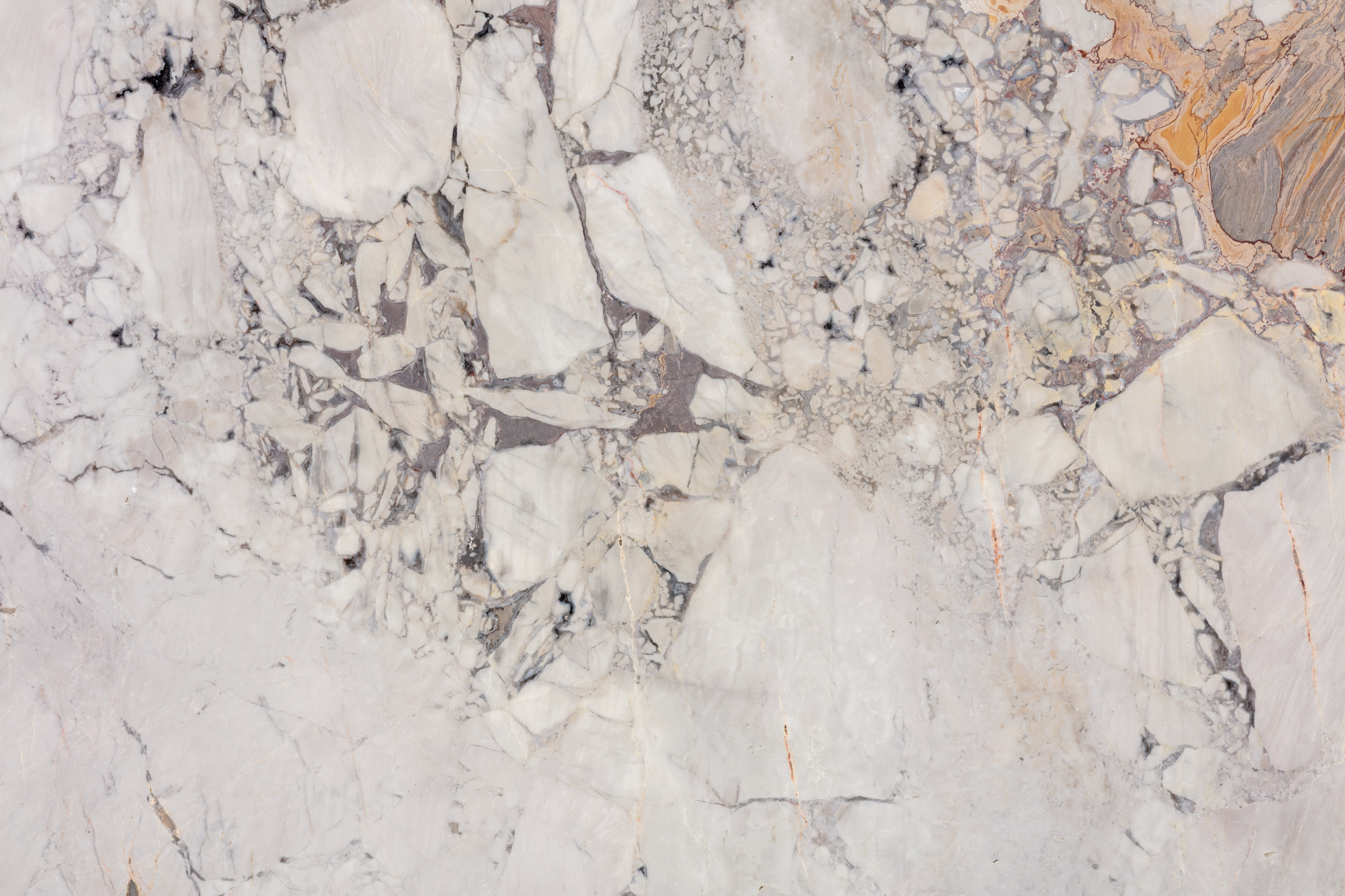 BOSSA NOVA - фото 5