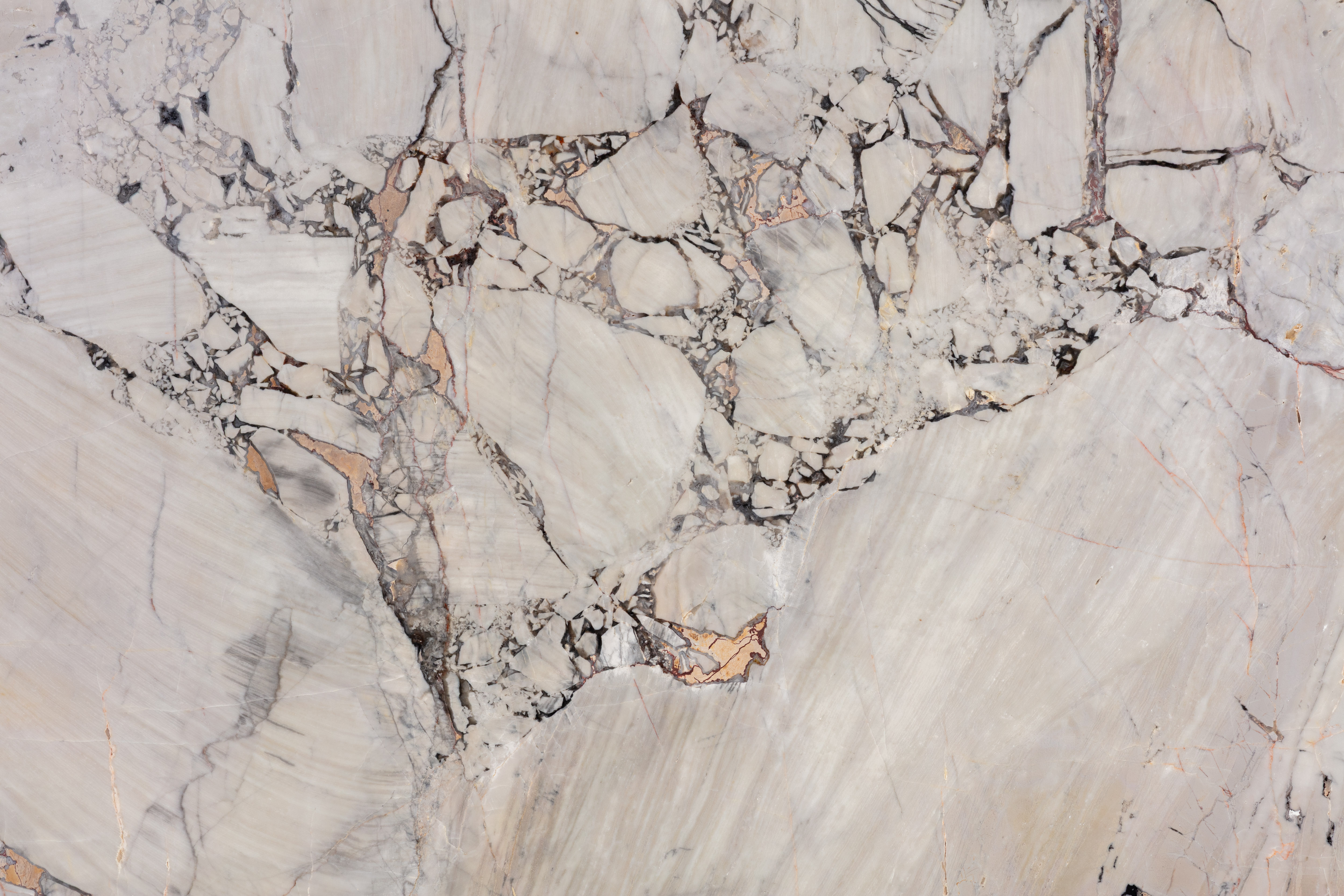 BOSSA NOVA - фото 6