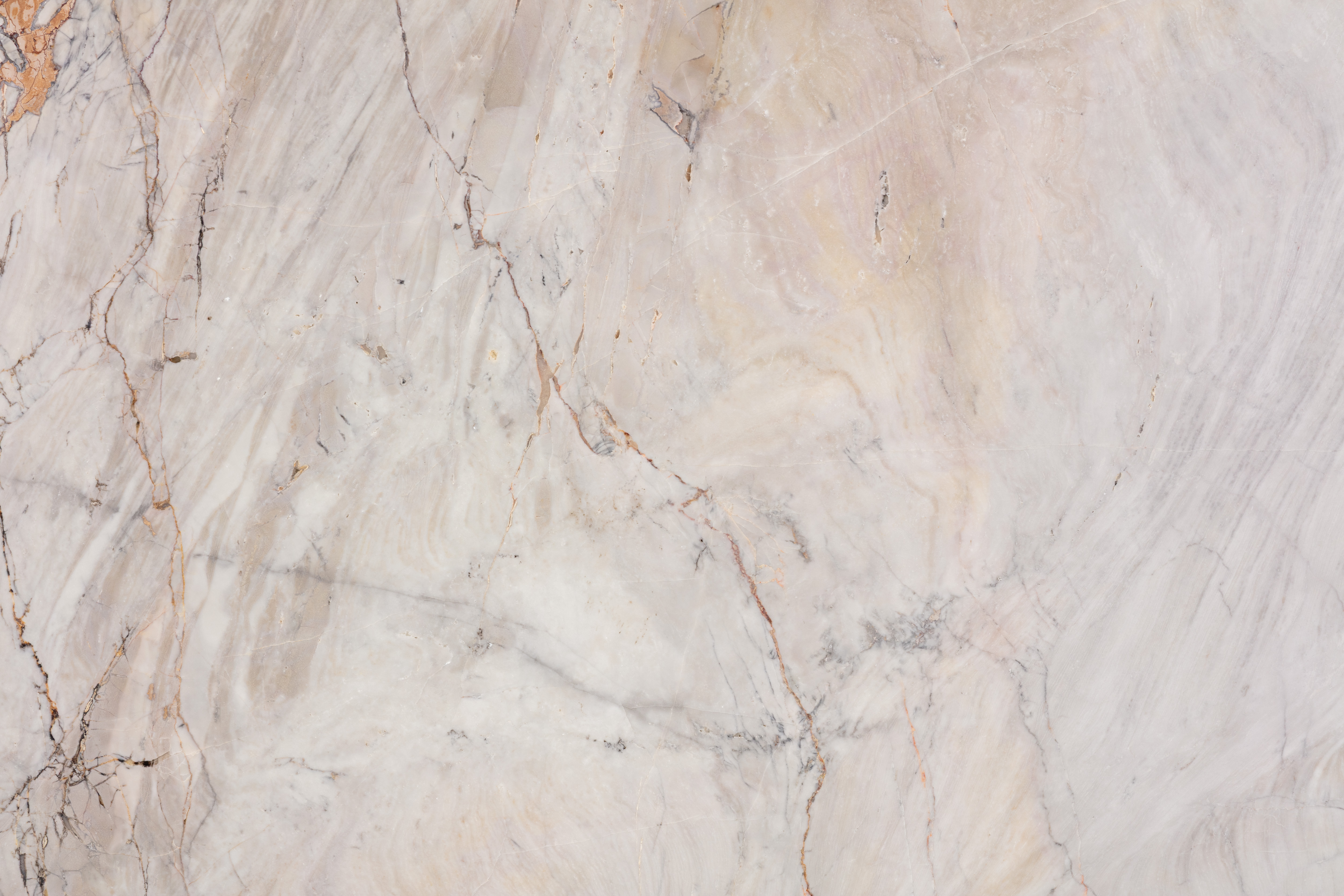 BOSSA NOVA - фото 7