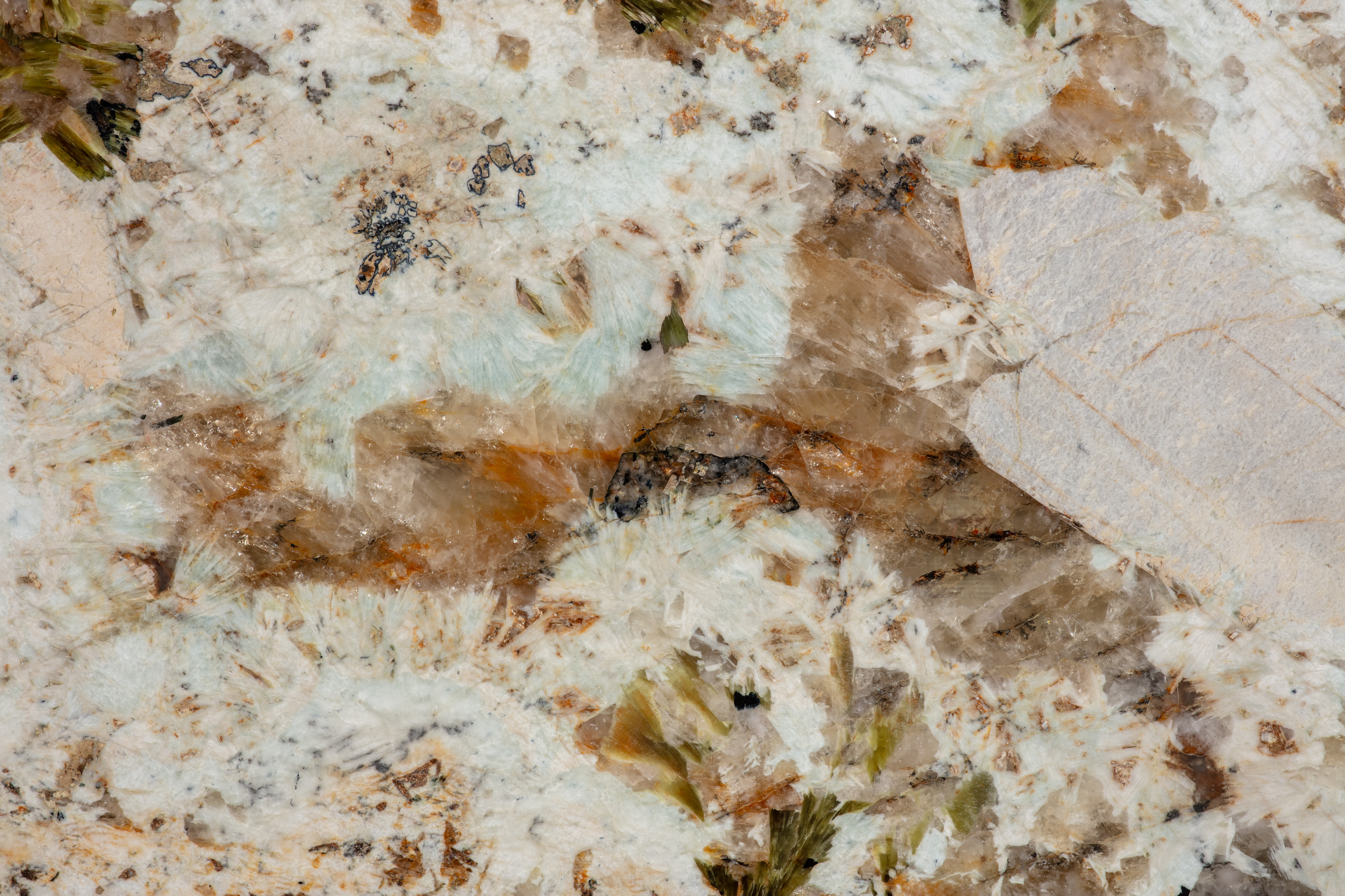ALPINUS  - фото 2