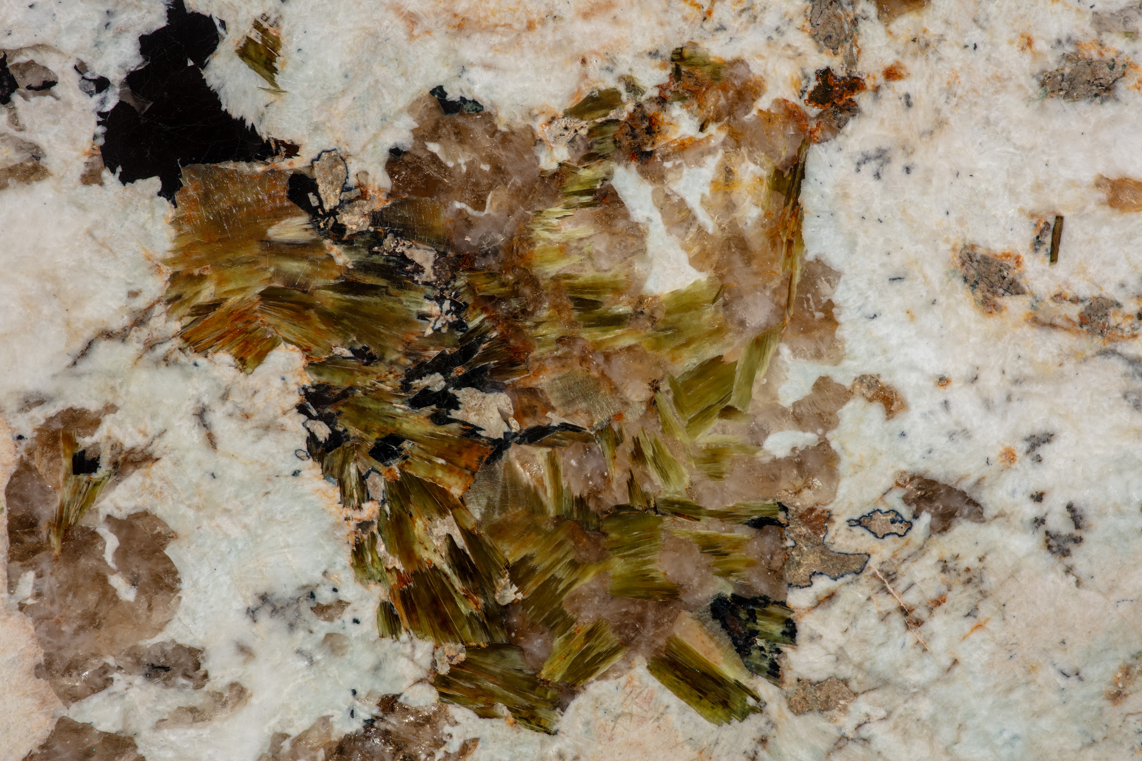 ALPINUS  - фото 3