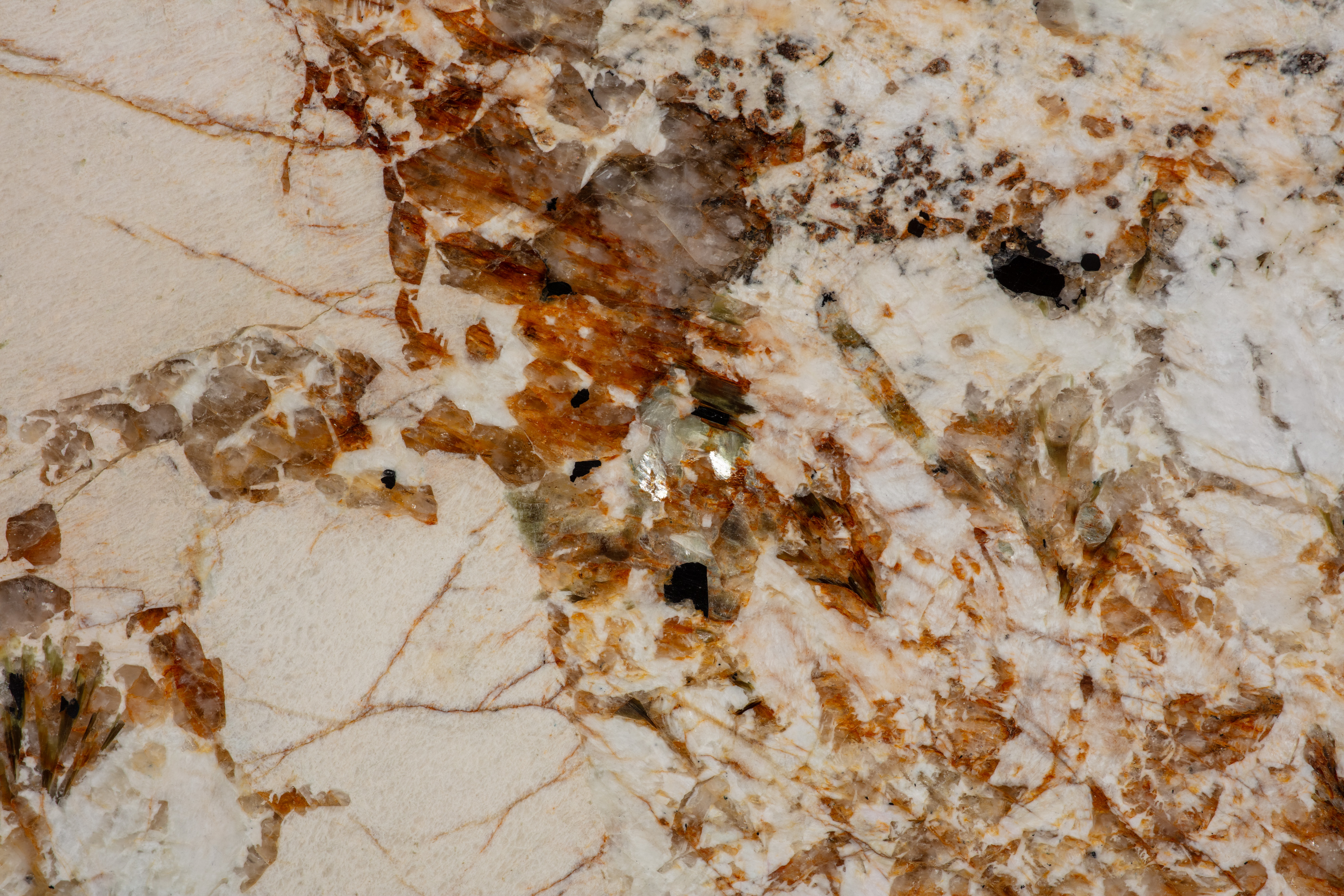ALPINUS  - фото 4