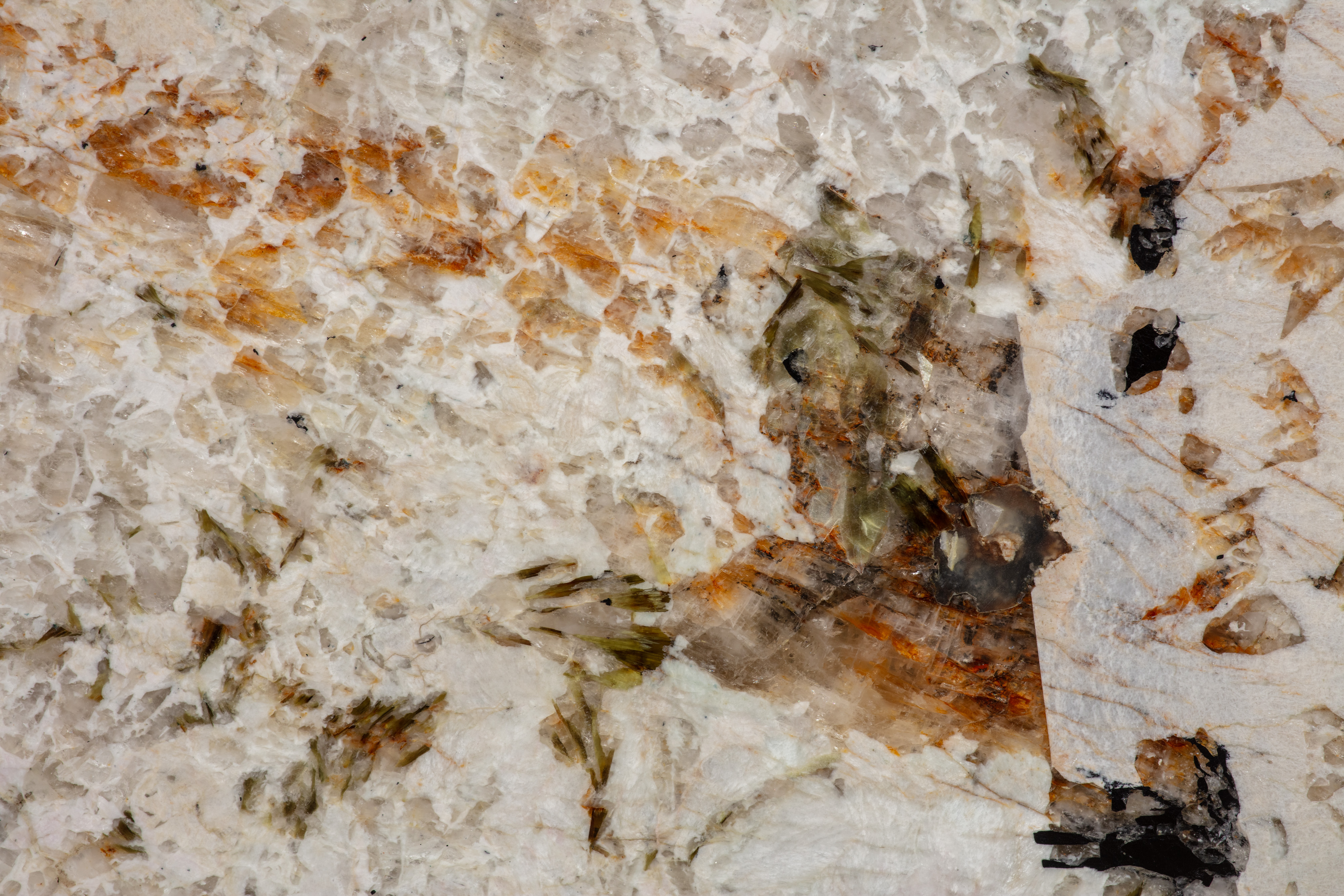 ALPINUS  - фото 5