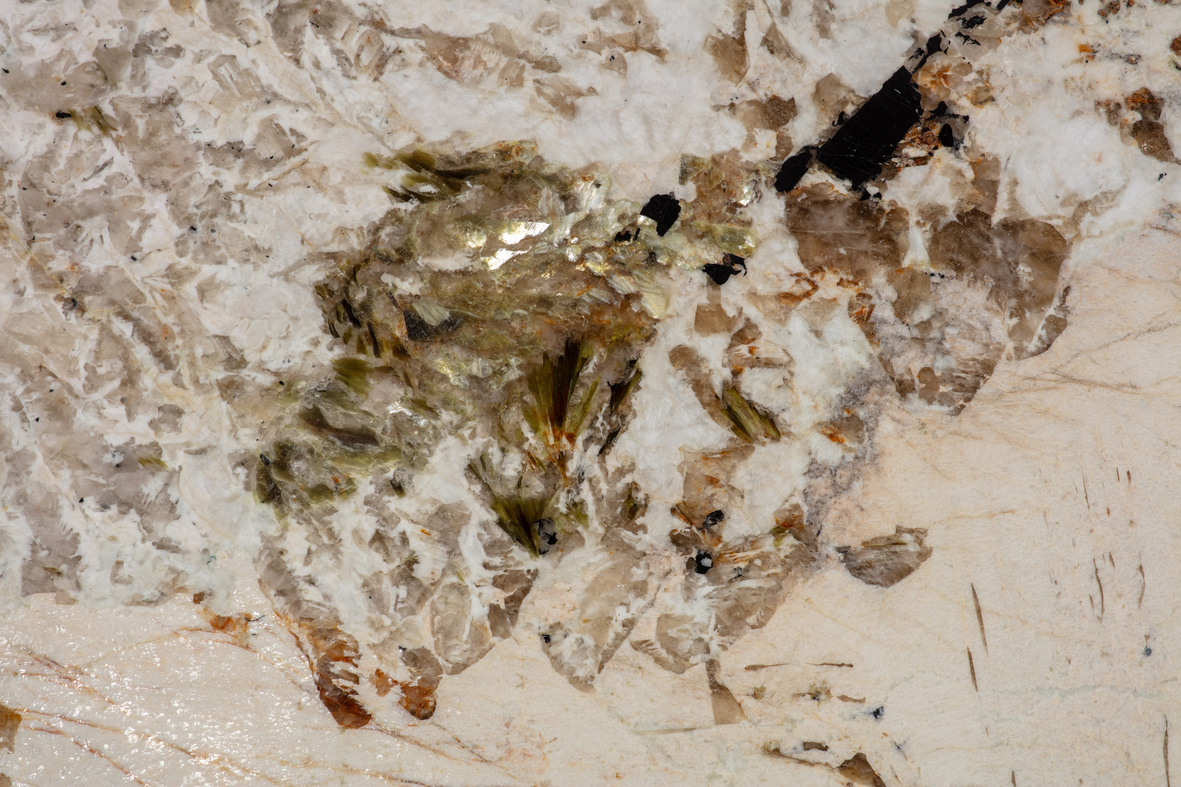 ALPINUS  - фото 7