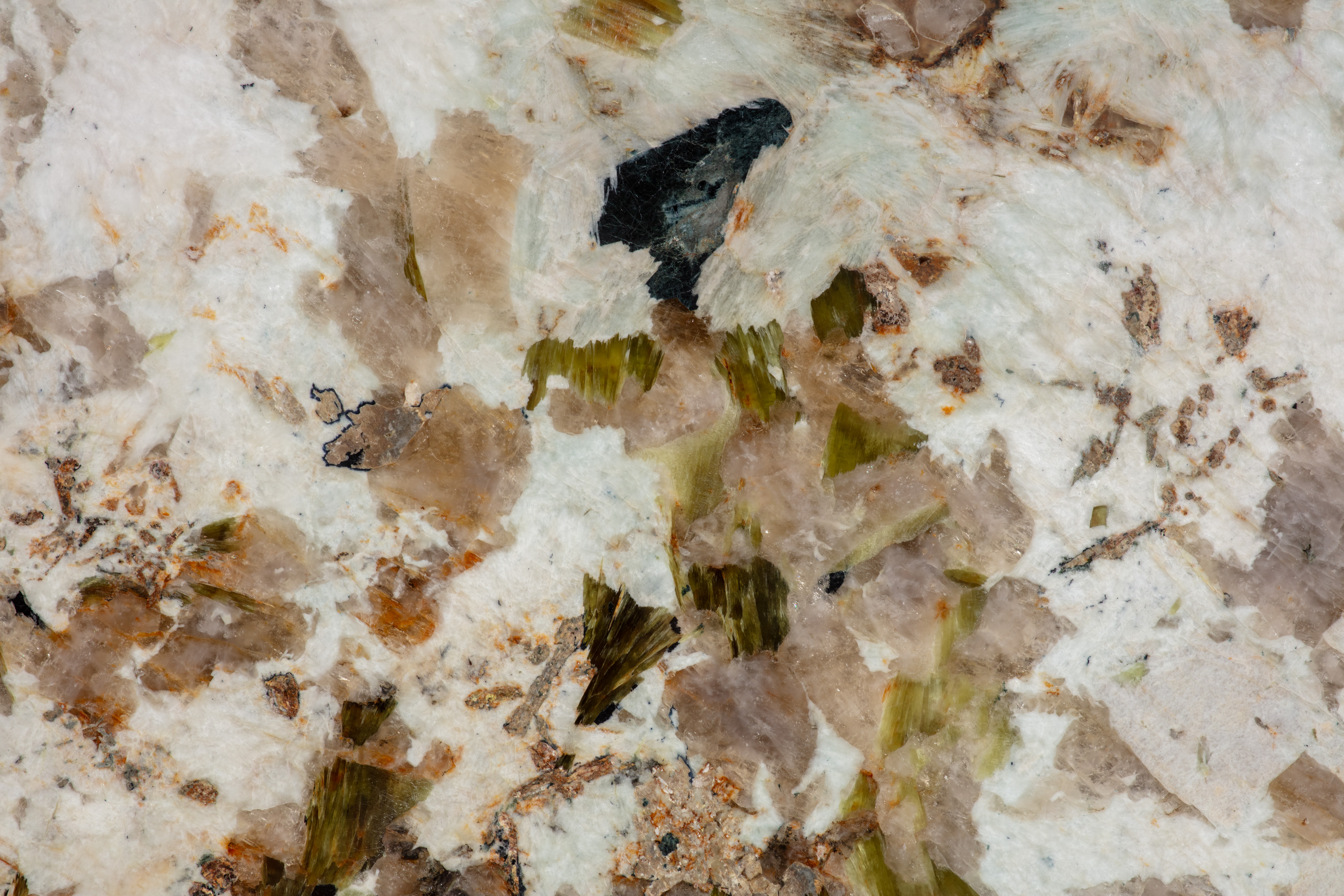 ALPINUS  - фото 8