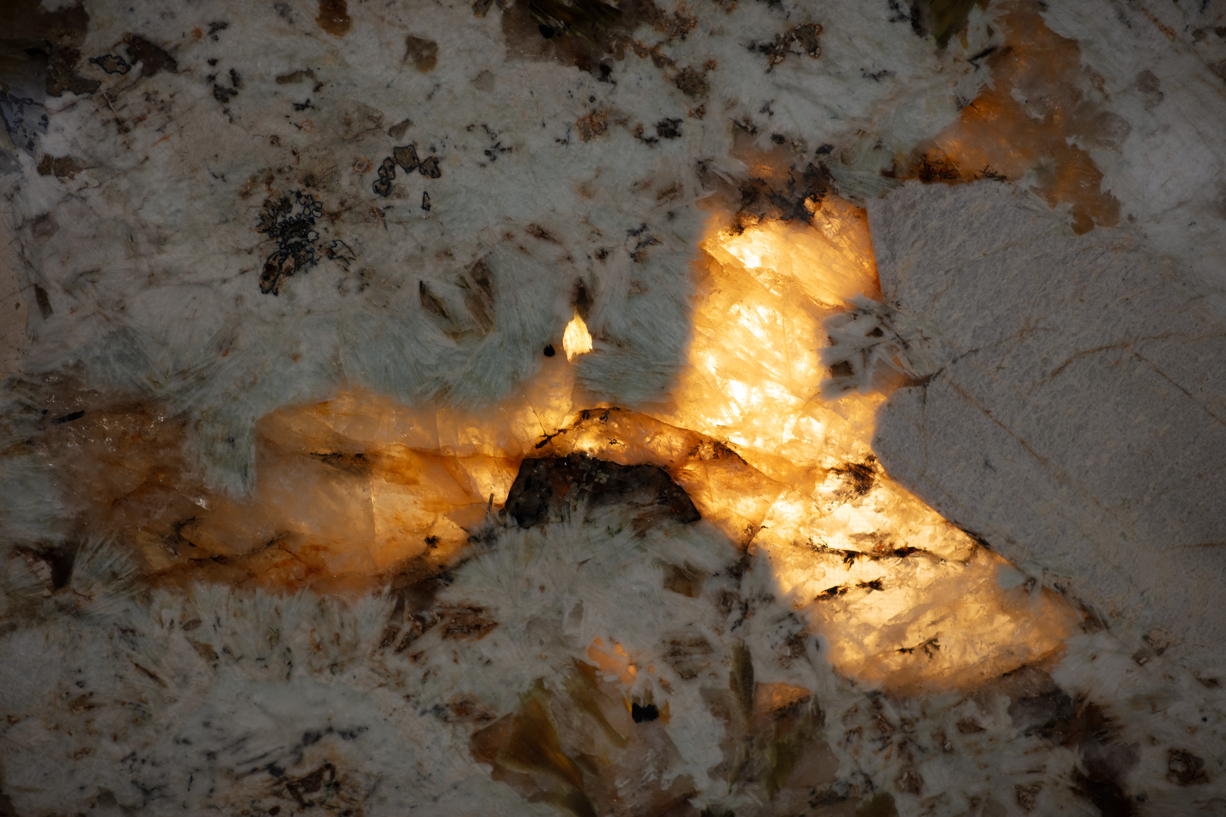 ALPINUS  - фото 10