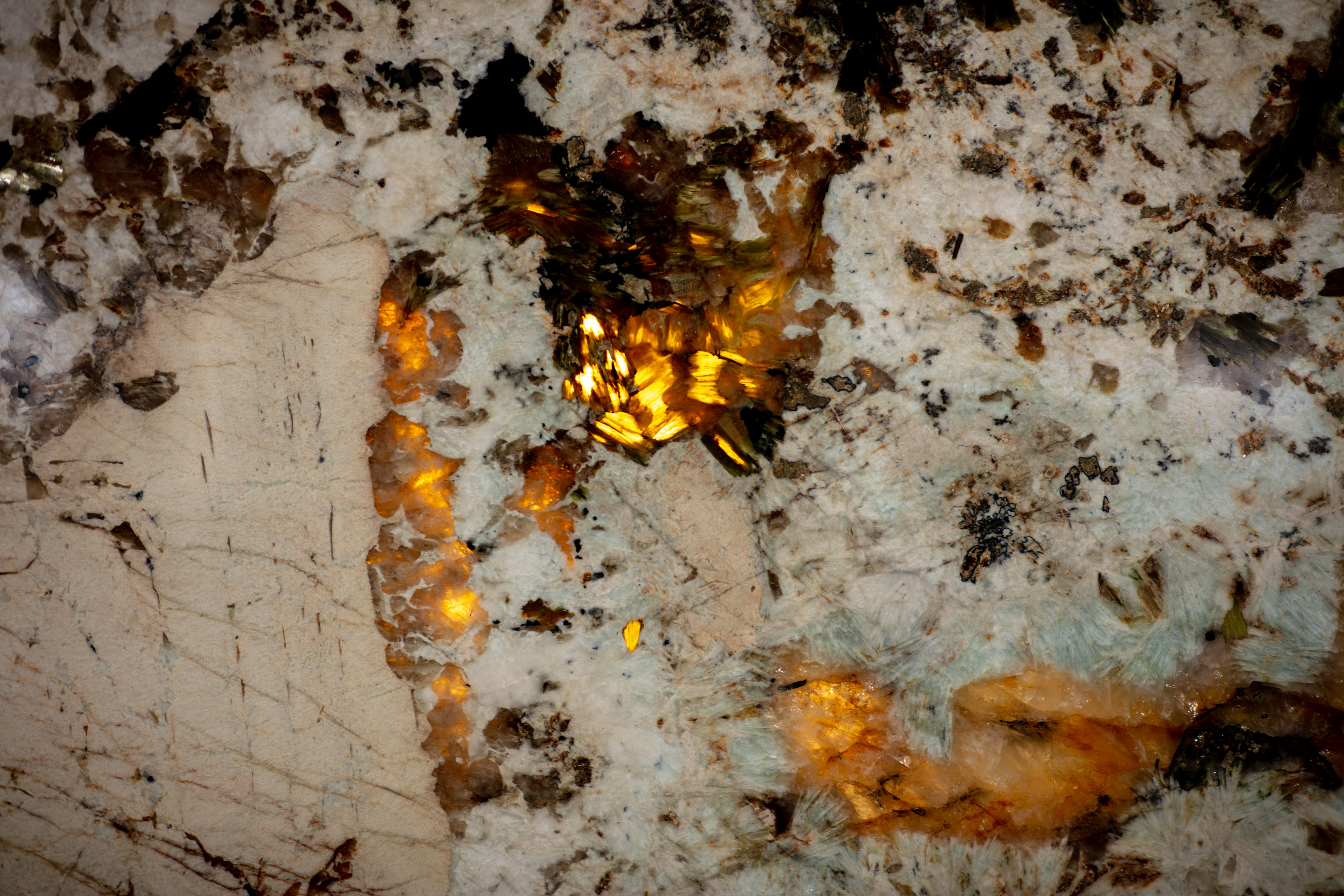 ALPINUS  - фото 12
