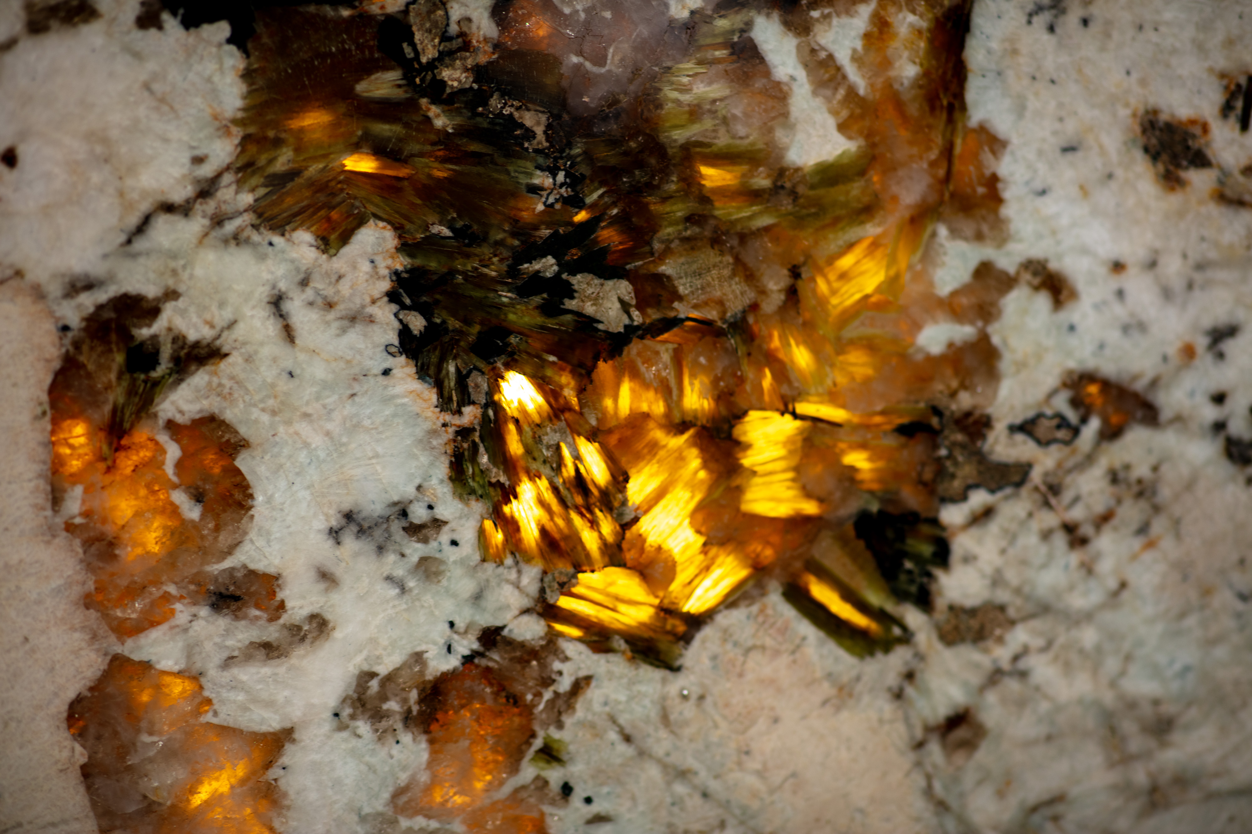 ALPINUS  - фото 13