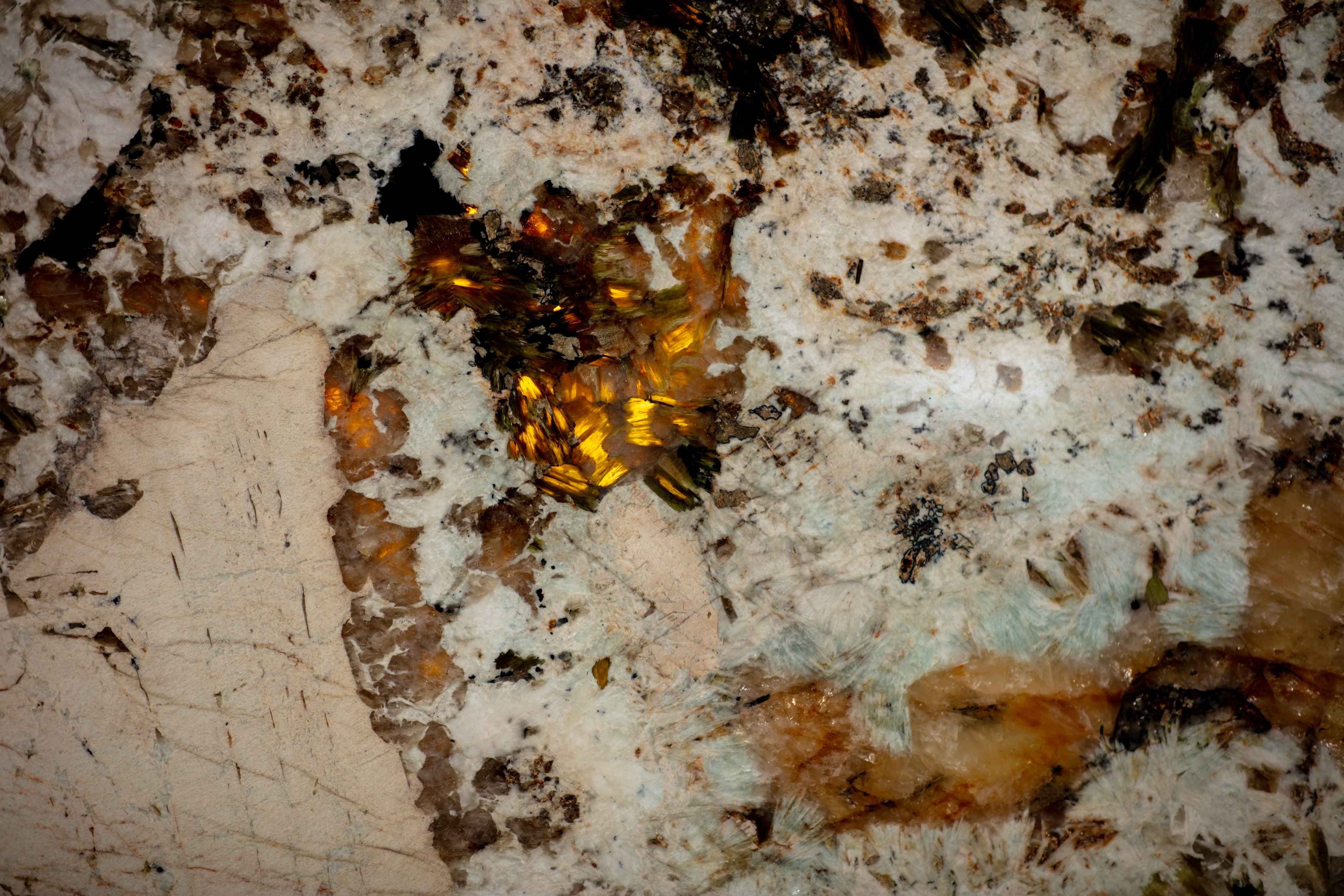 ALPINUS  - фото 14