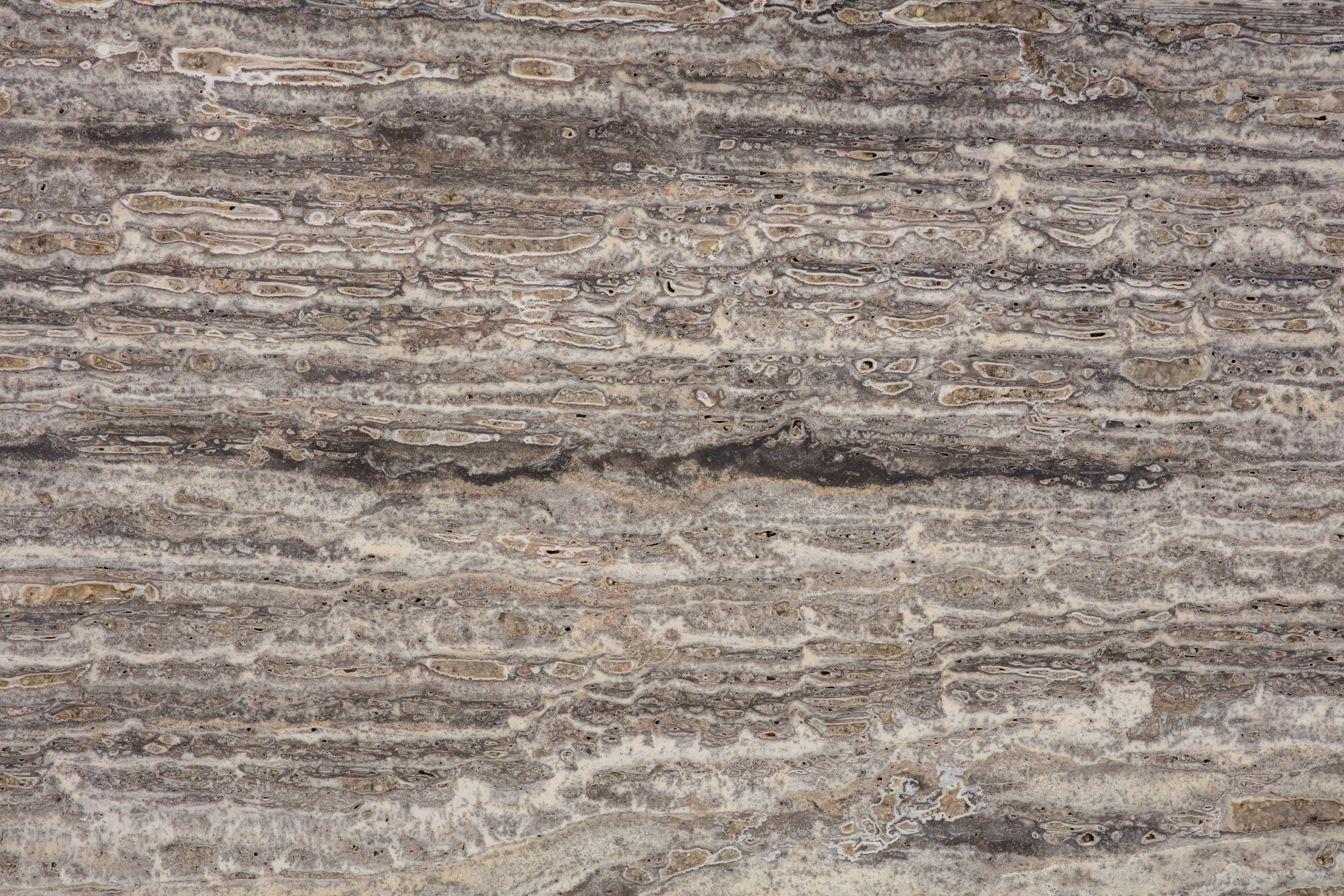 SILVER - фото 2