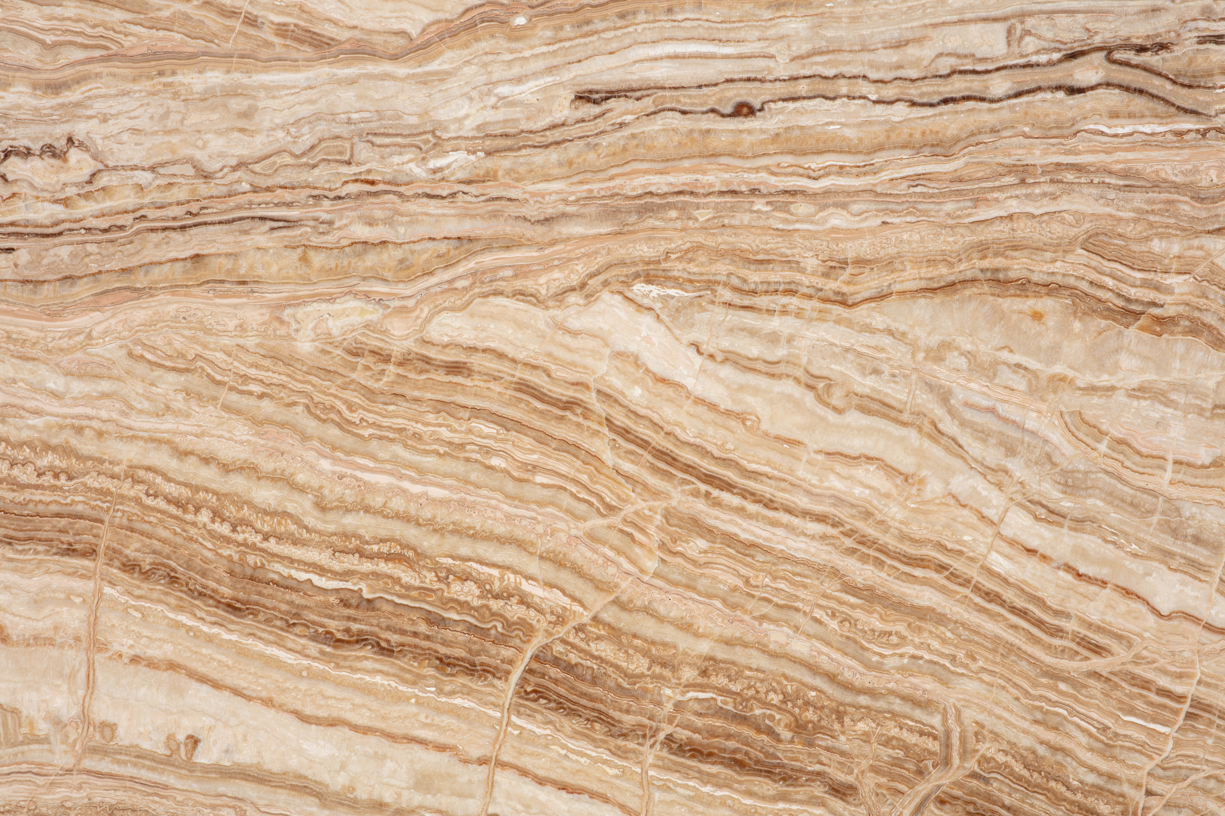 BEIGE - фото 3