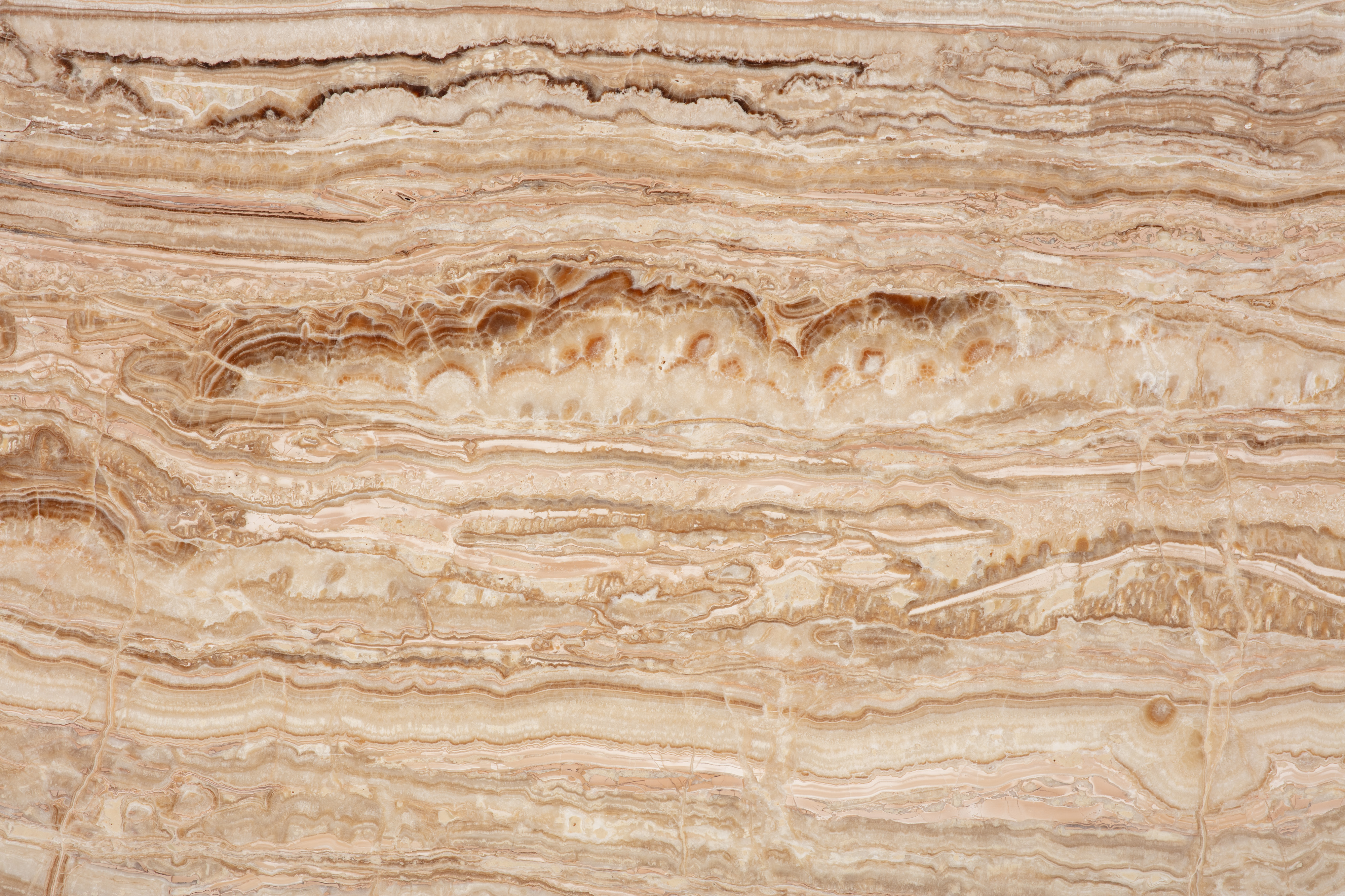 BEIGE - фото 5