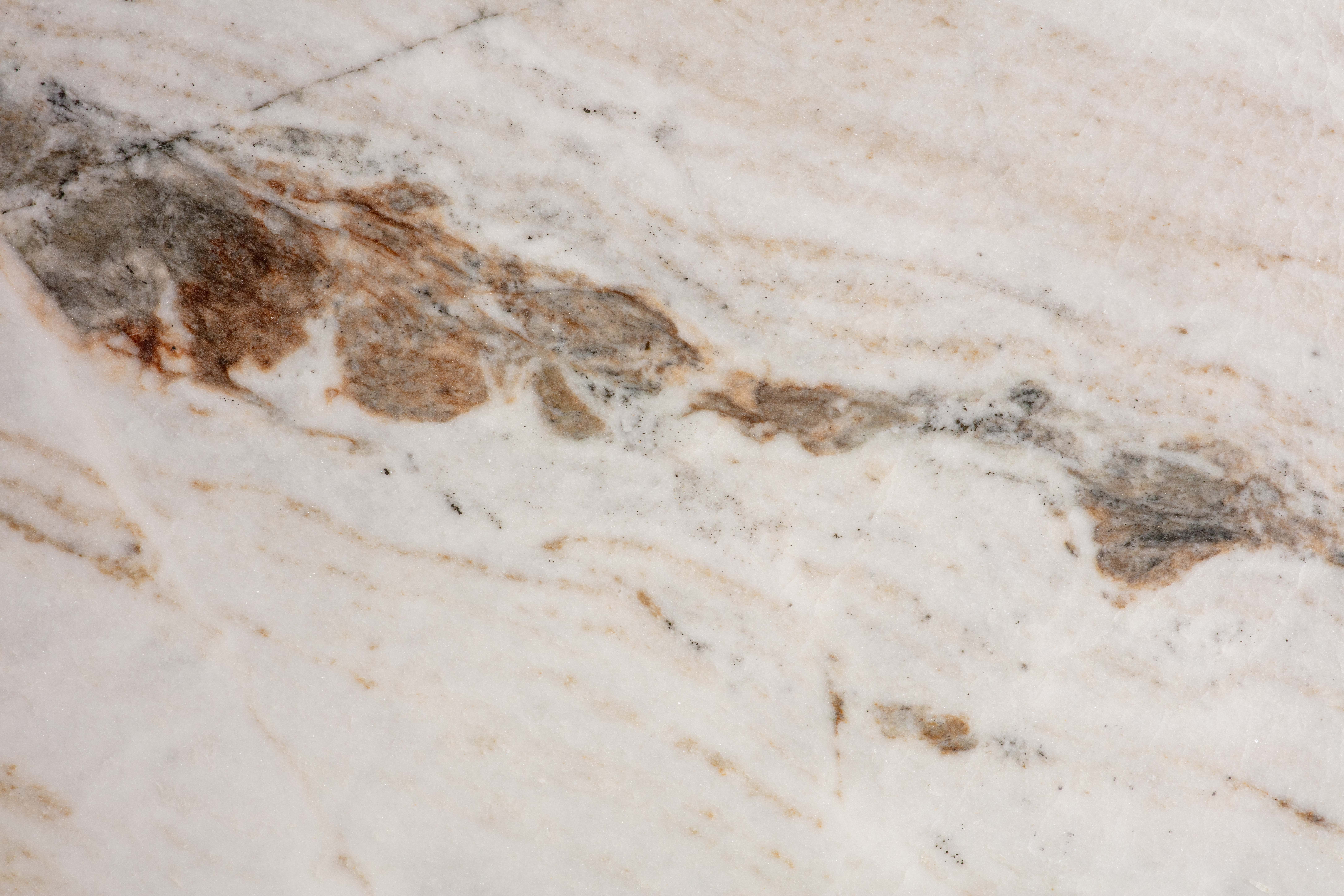 CASTRO WHITE - фото 3