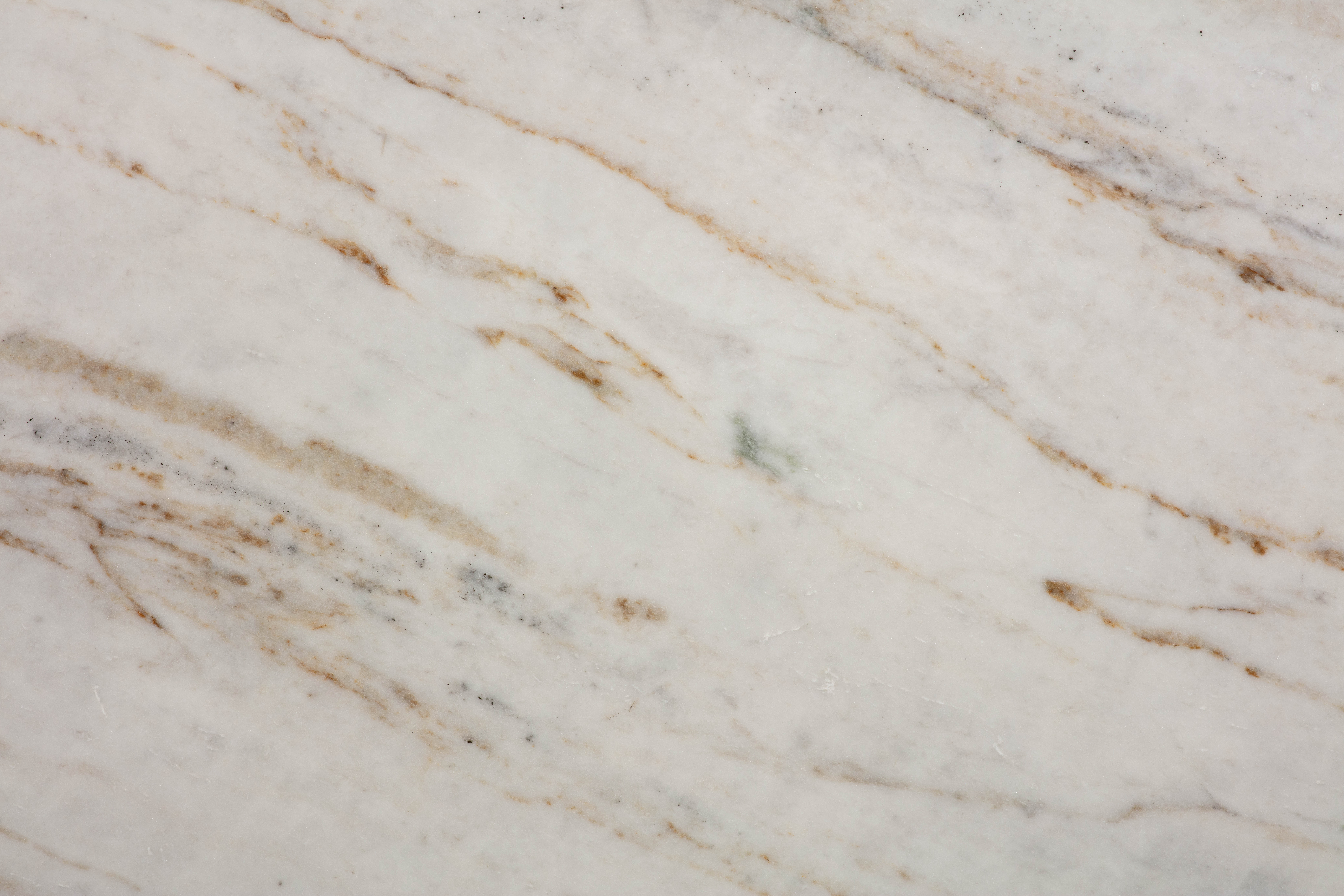 CASTRO WHITE - фото 4