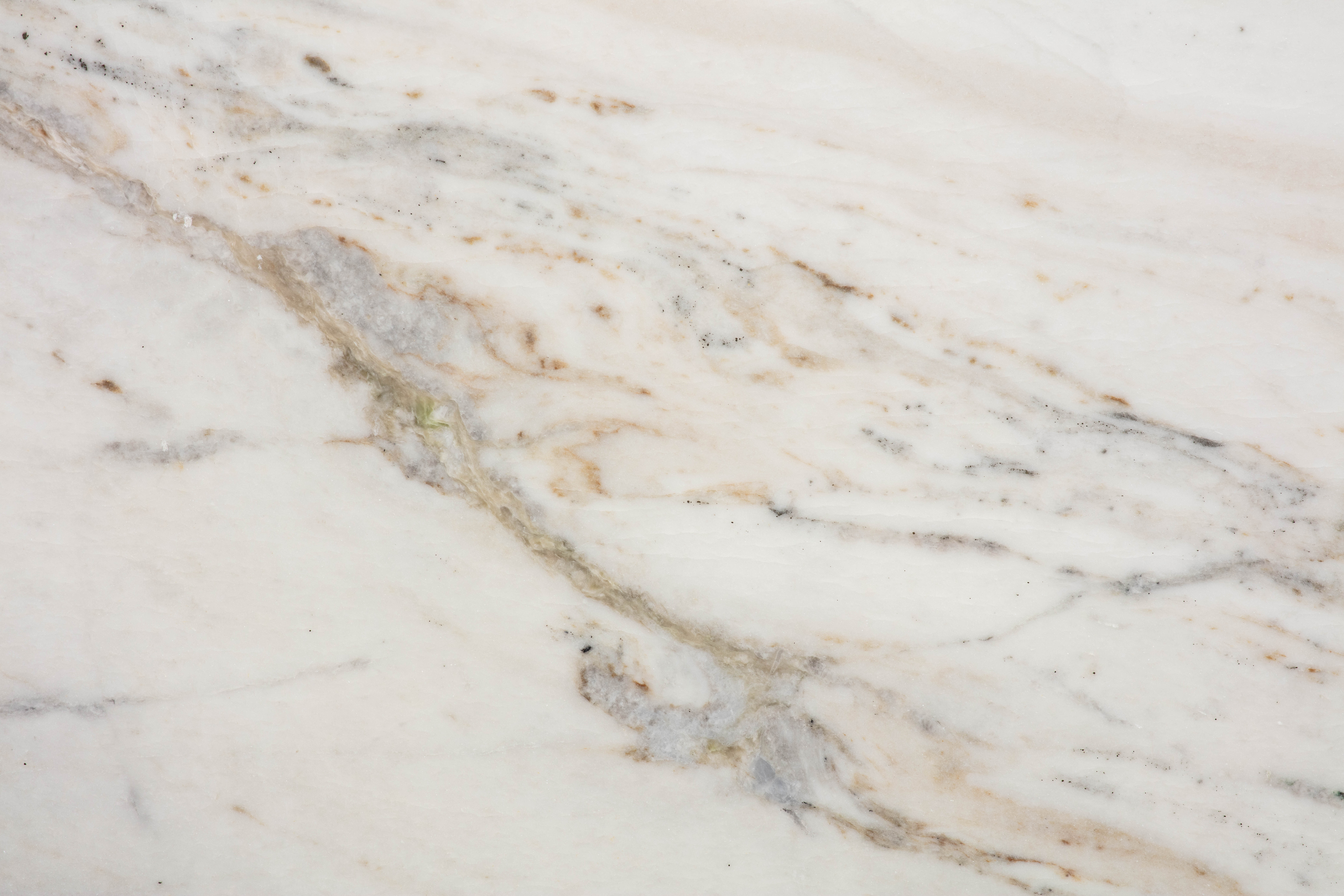 CASTRO WHITE - фото 5