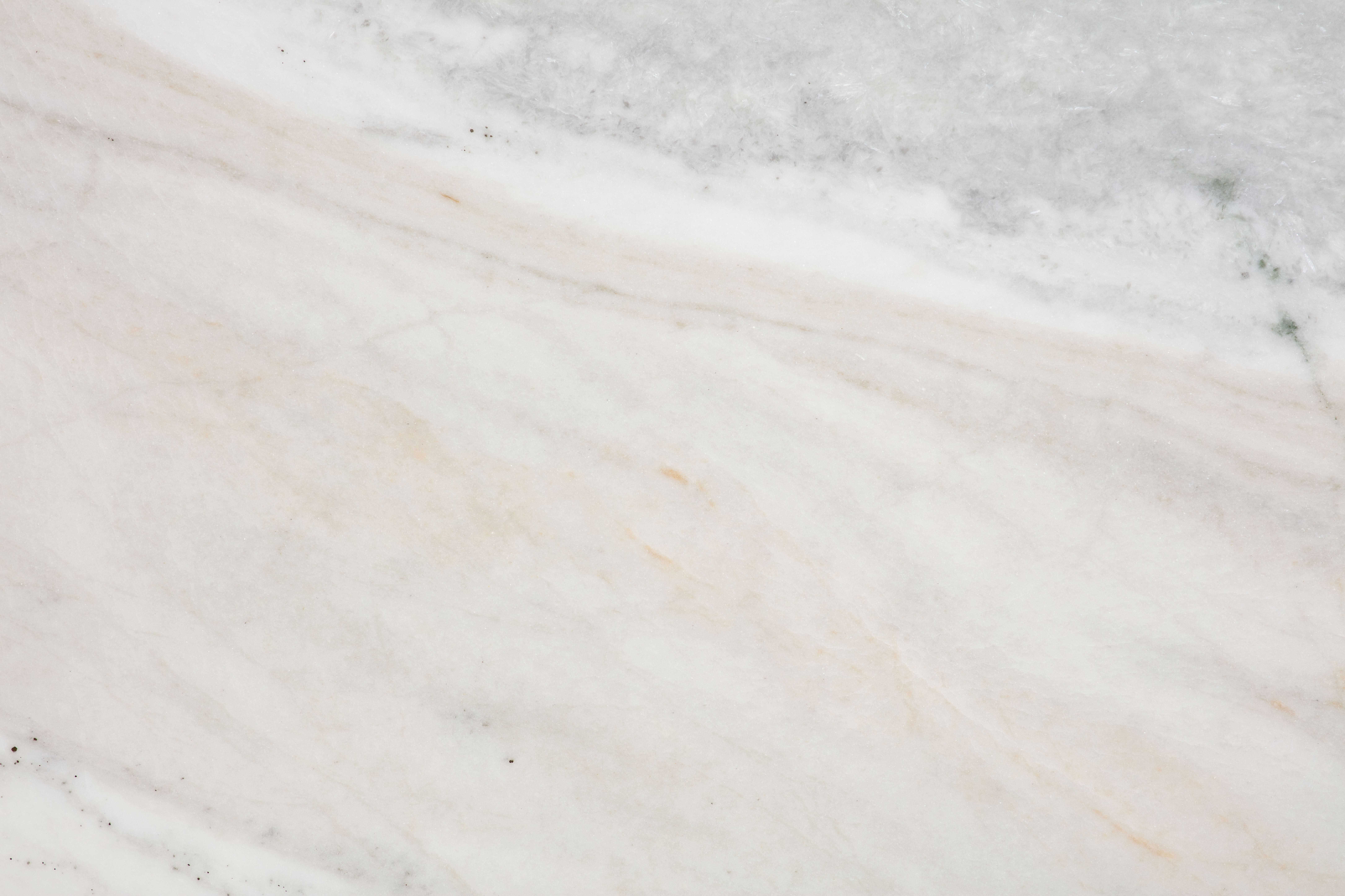 CASTRO WHITE - фото 6