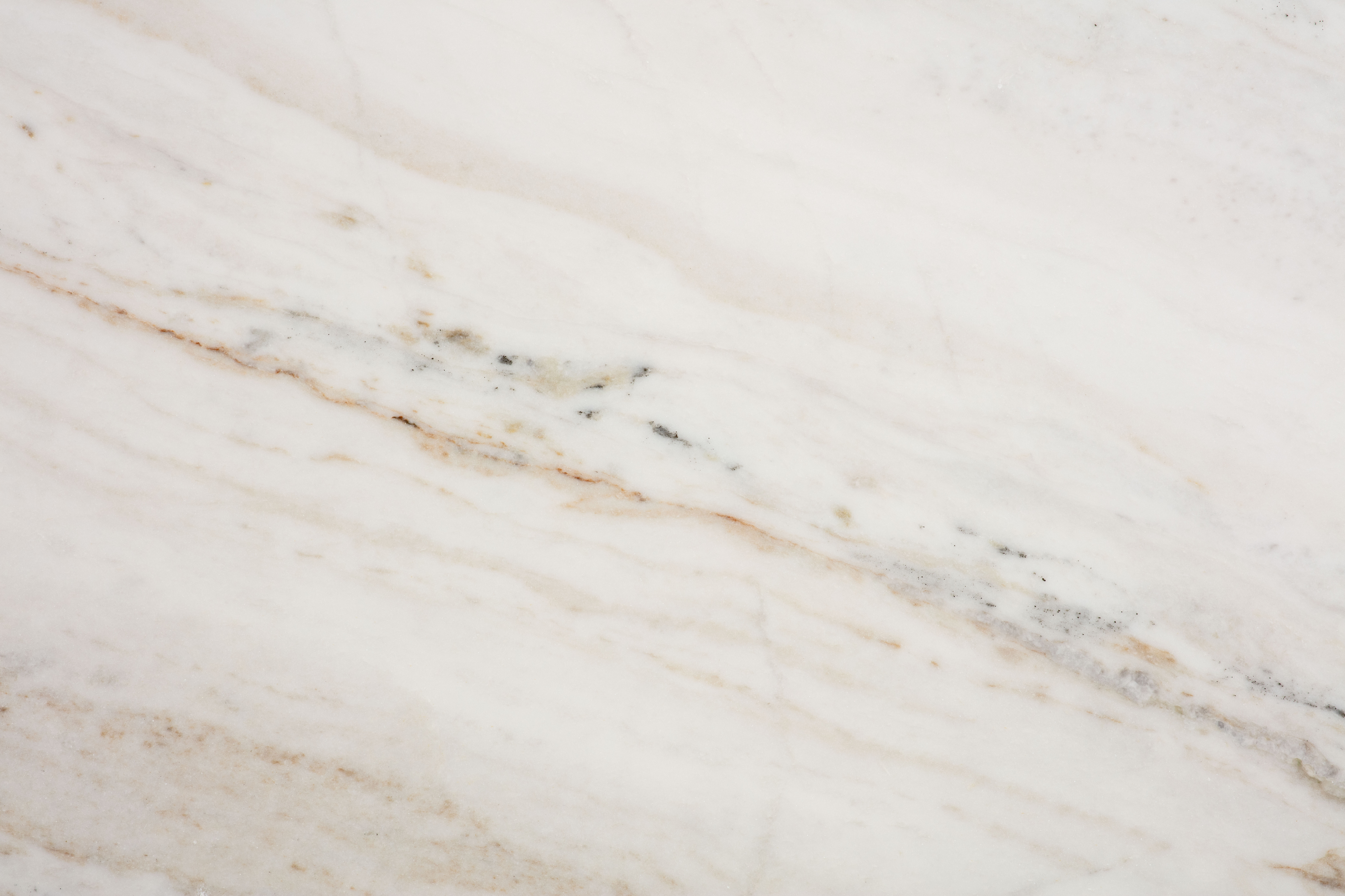 CASTRO WHITE - фото 7