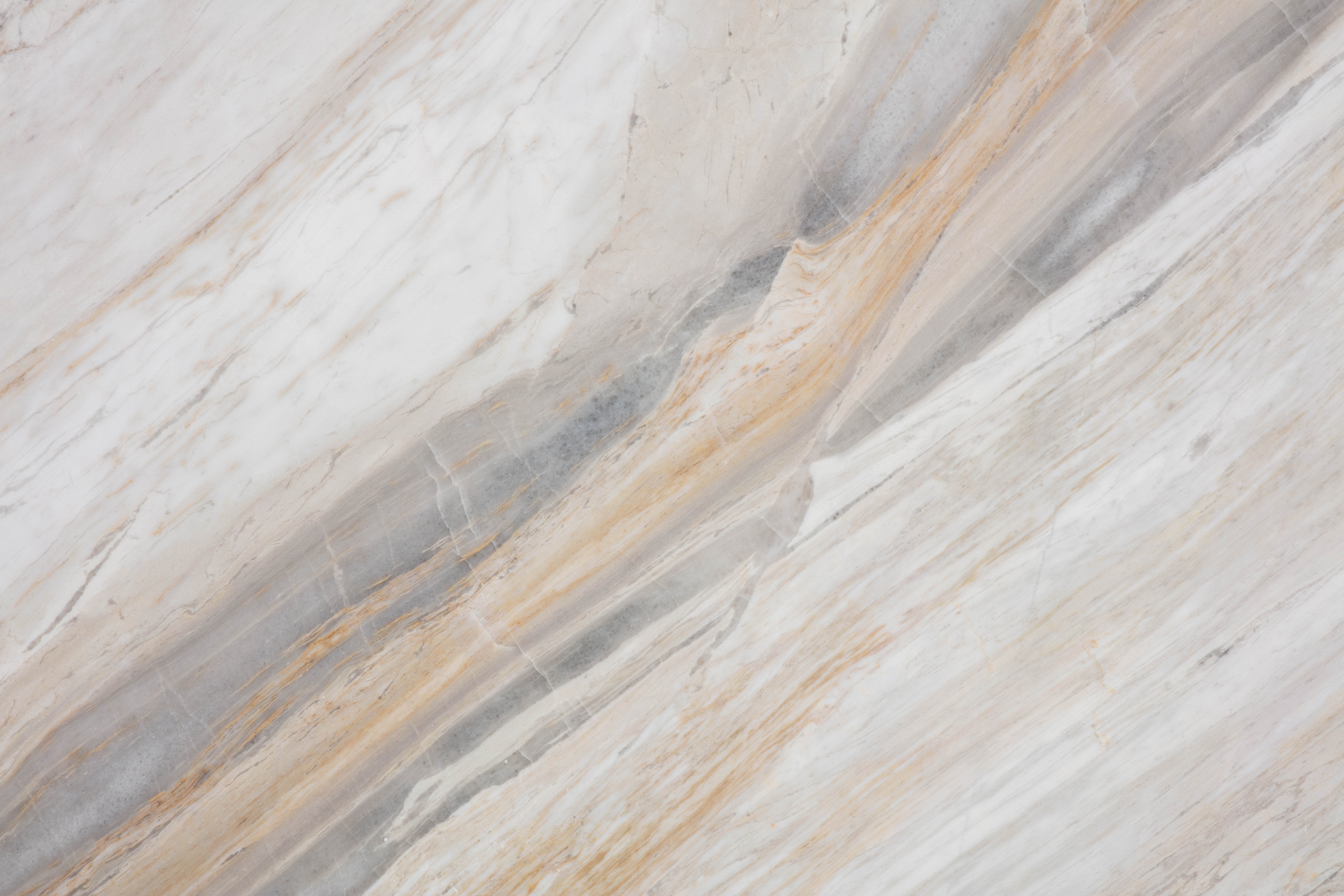 EARL WHITE - фото 3