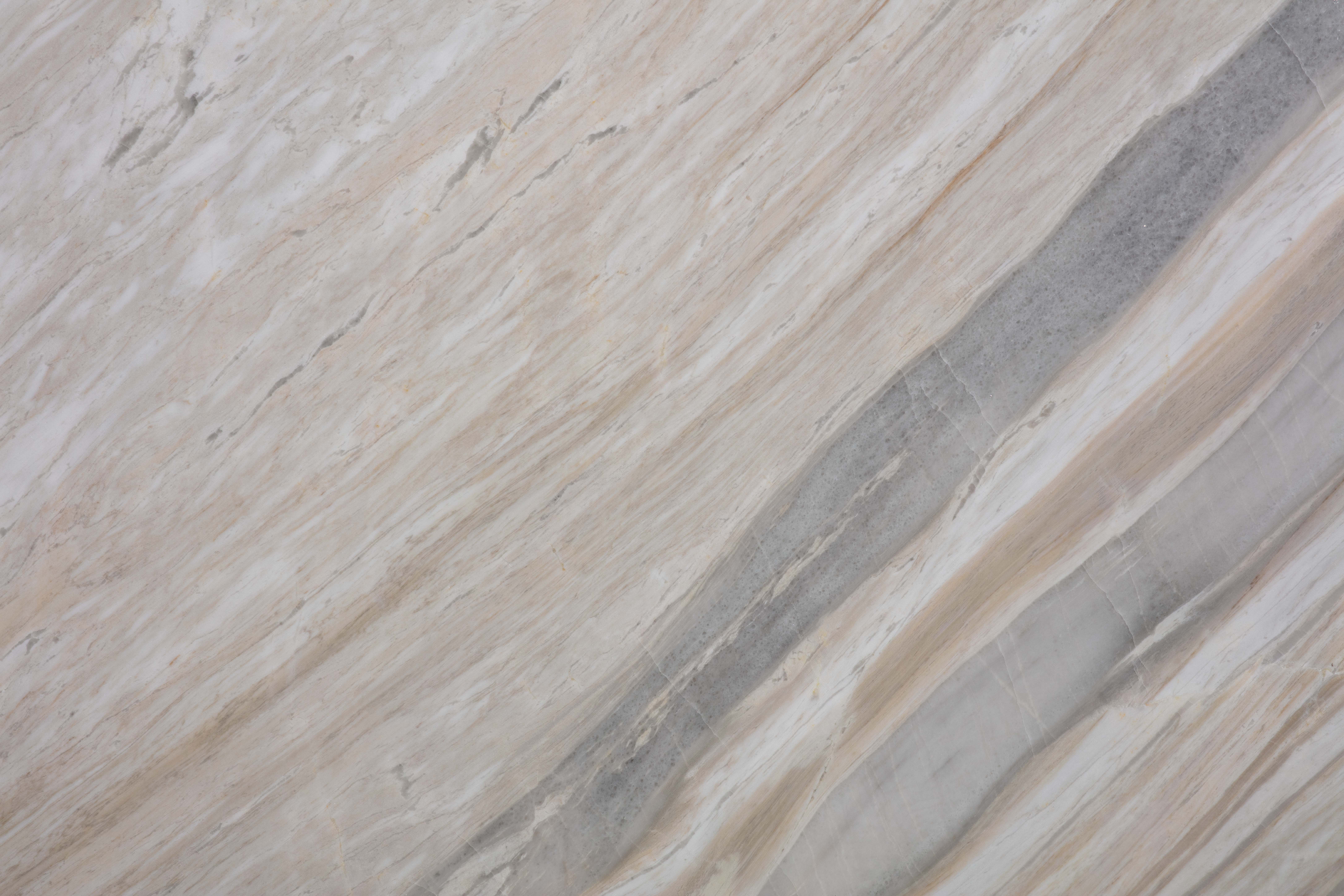 EARL WHITE - фото 6