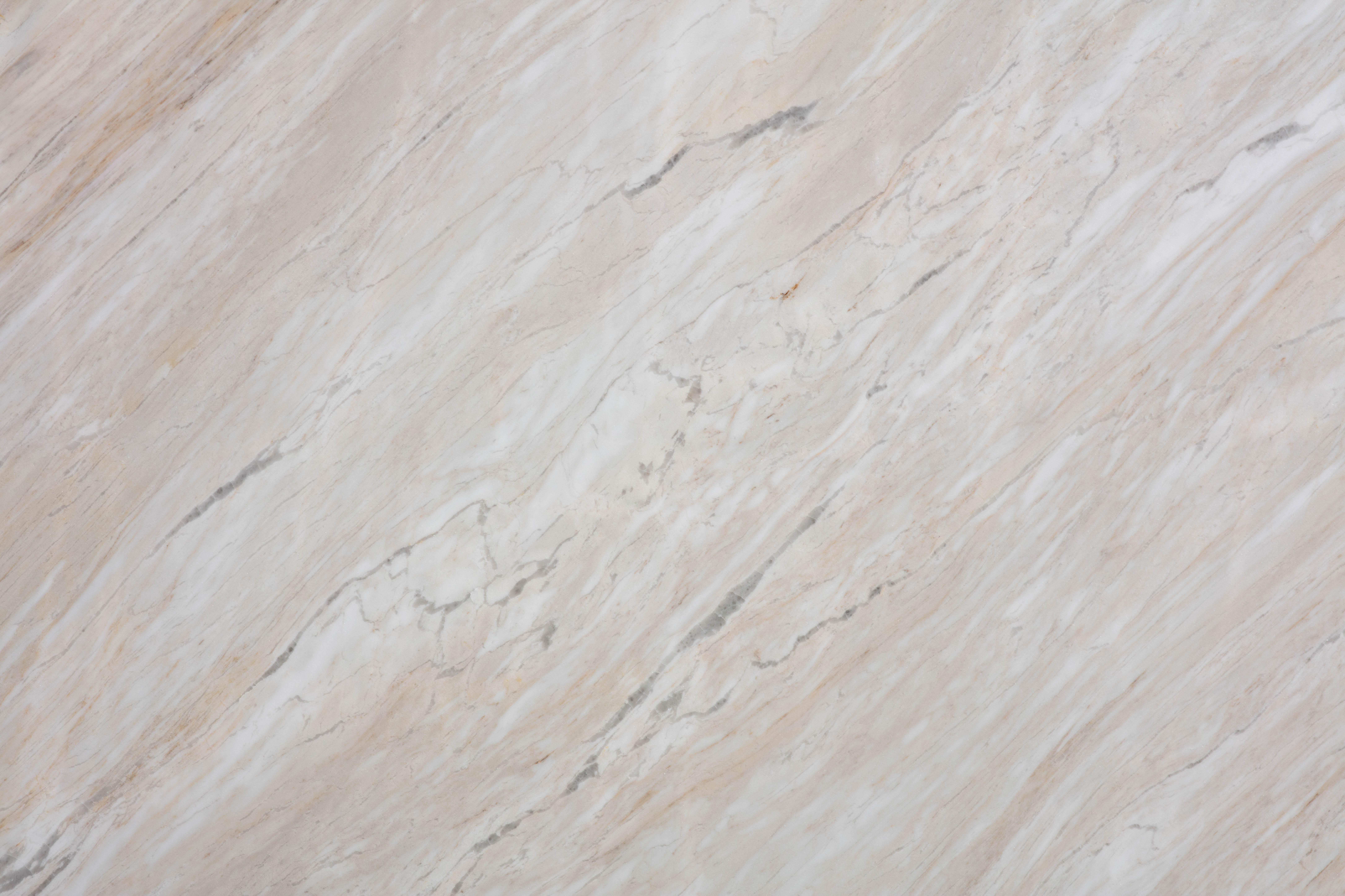 EARL WHITE - фото 9