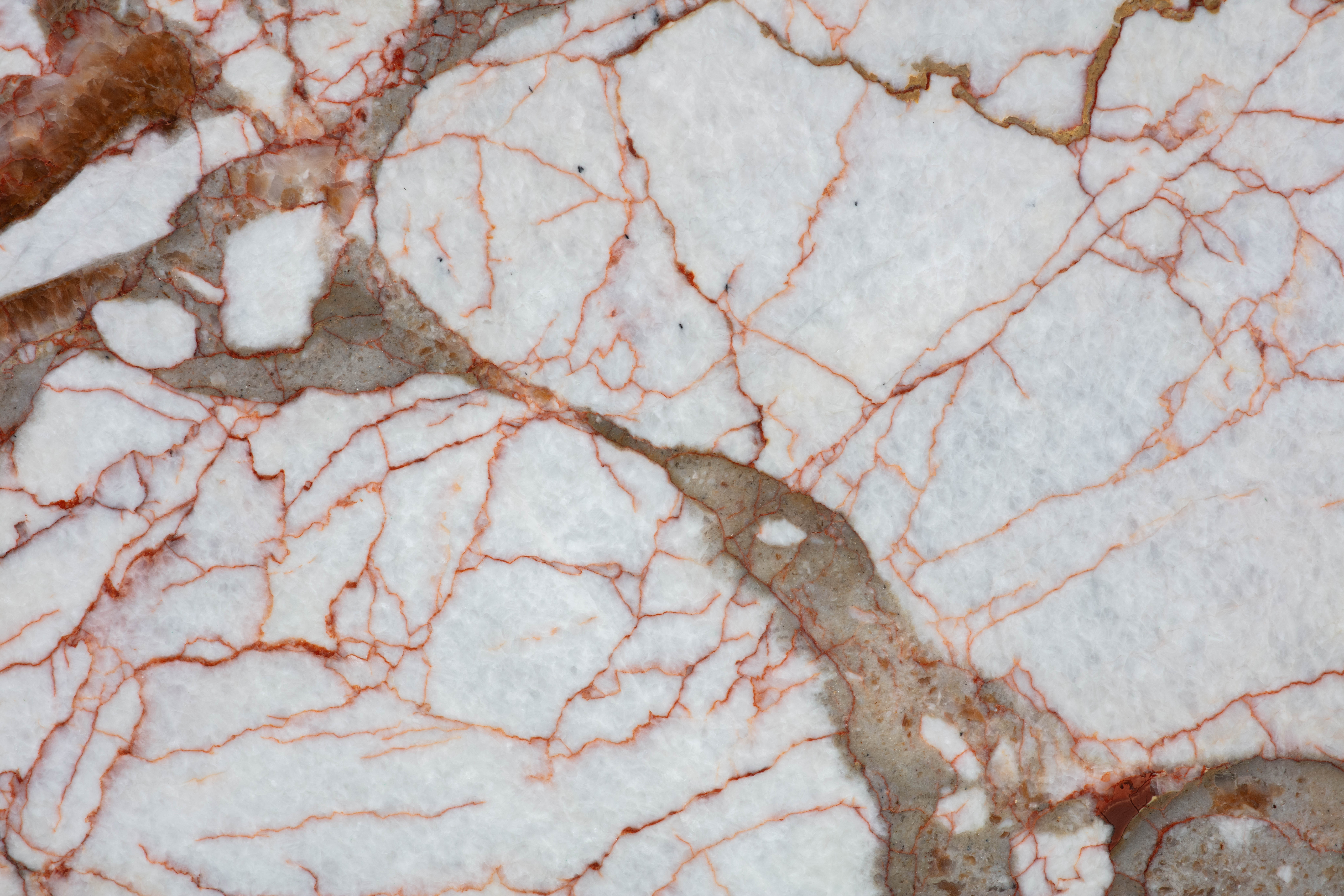 ROSE PINK - фото 6