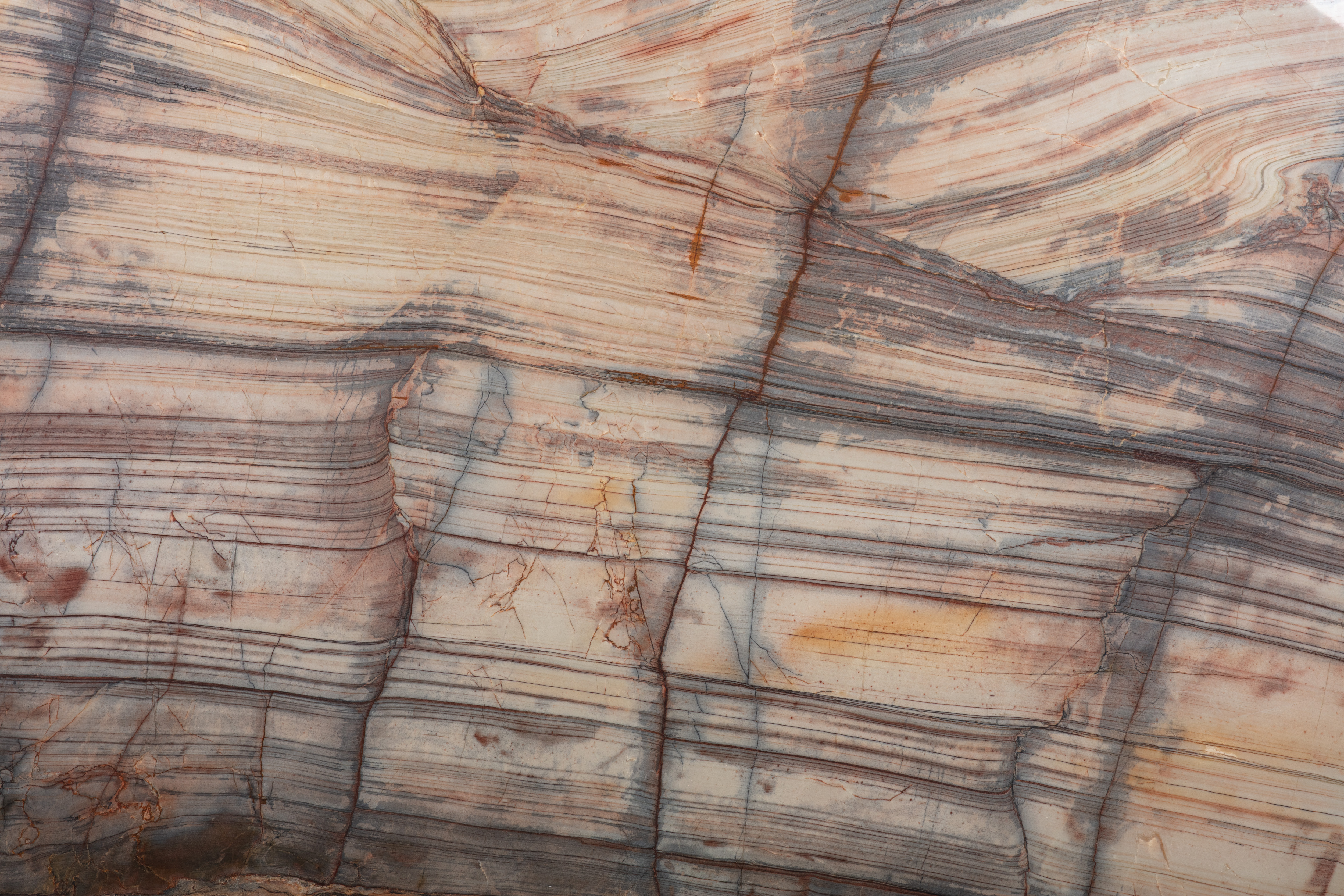 COLIBRI - фото 2