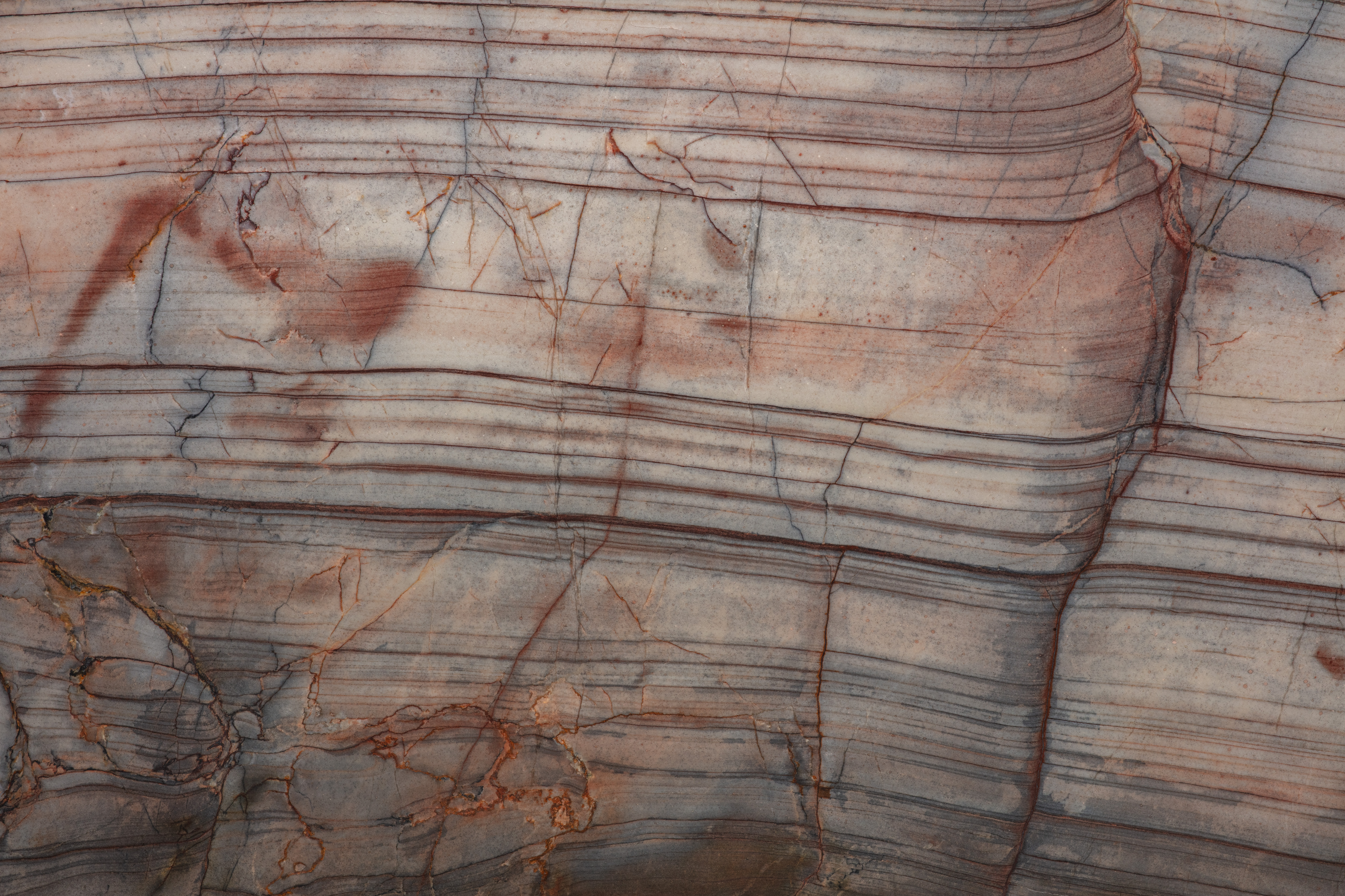 COLIBRI - фото 3