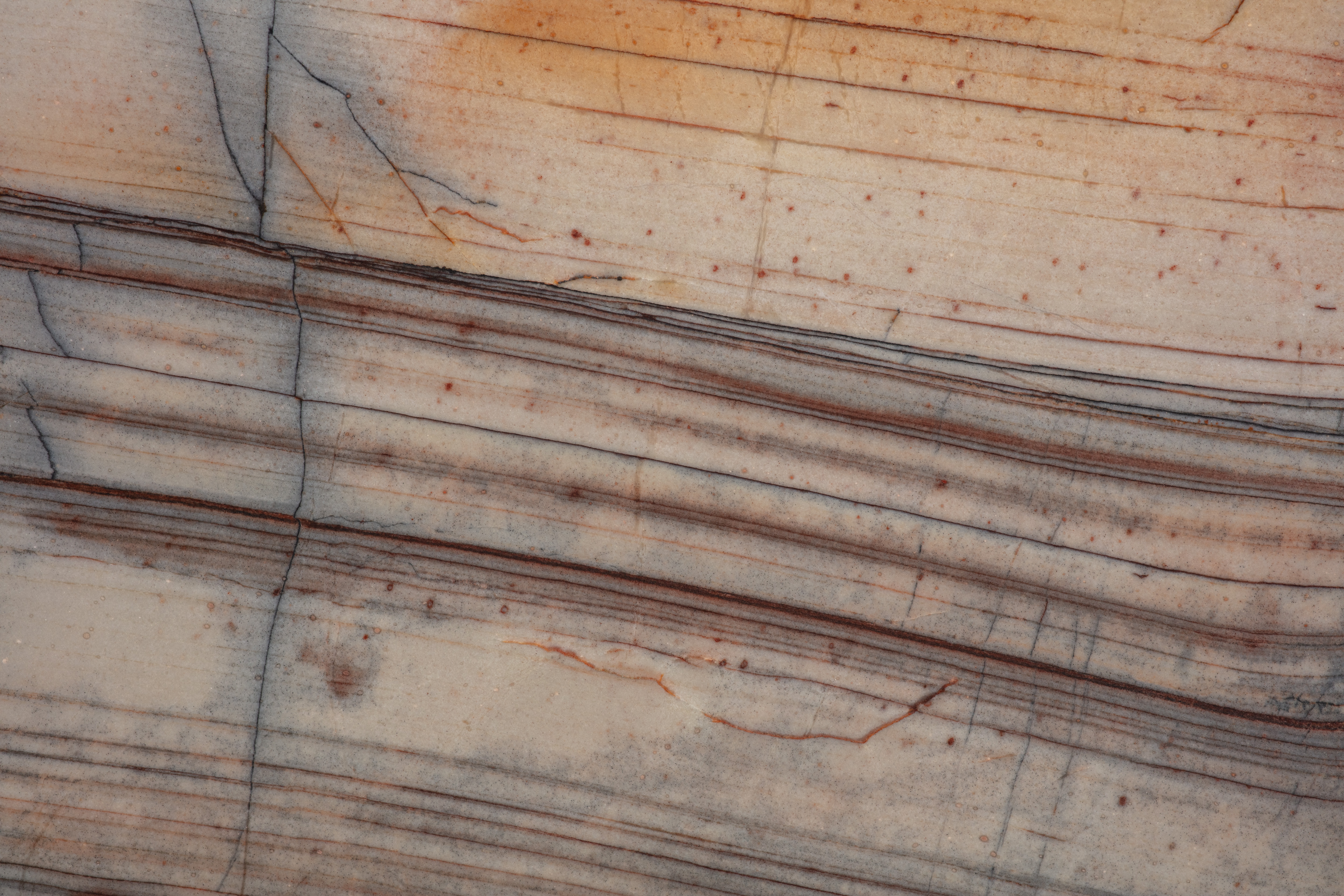 COLIBRI - фото 4