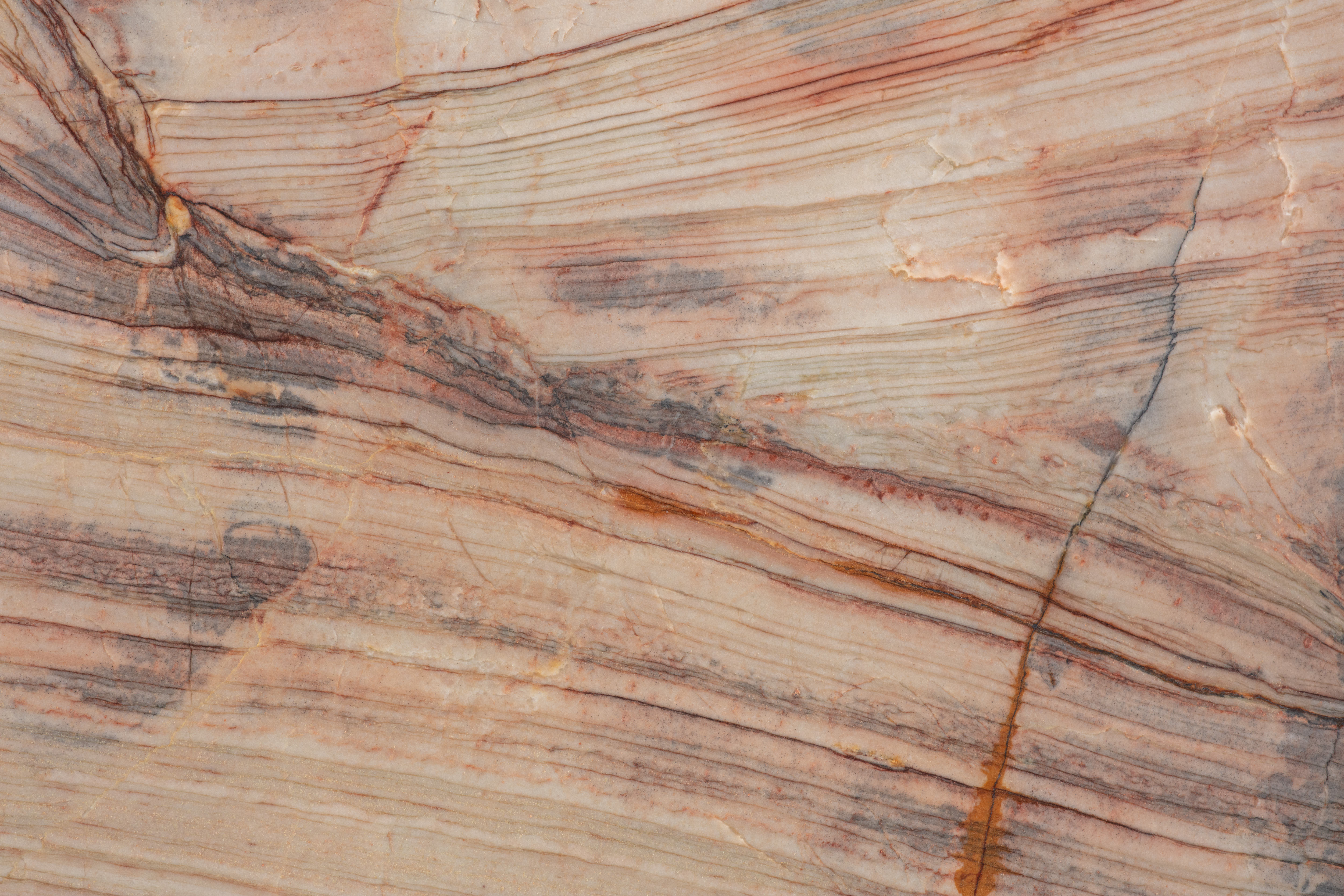 COLIBRI - фото 7