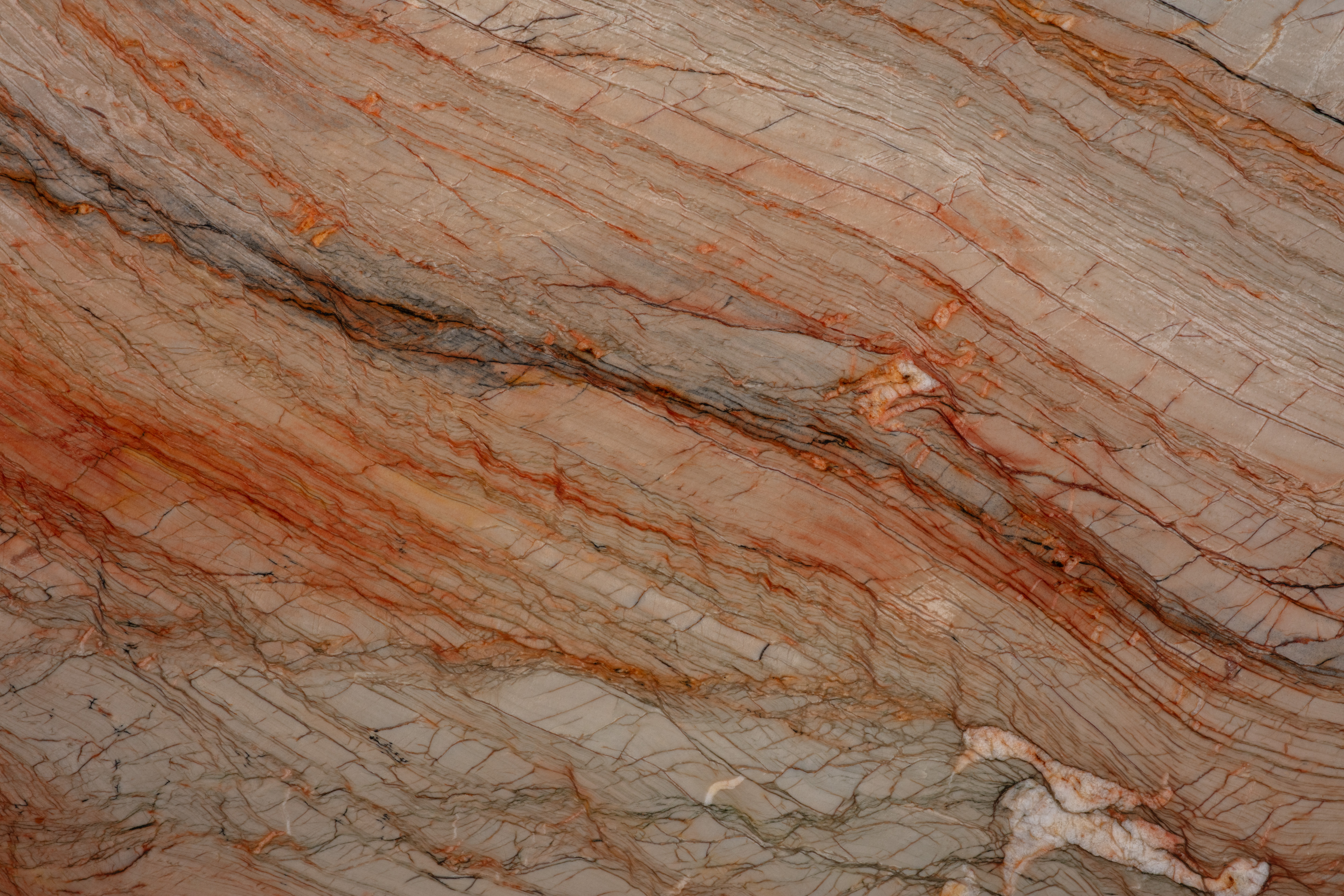 COLORADO  - фото 2