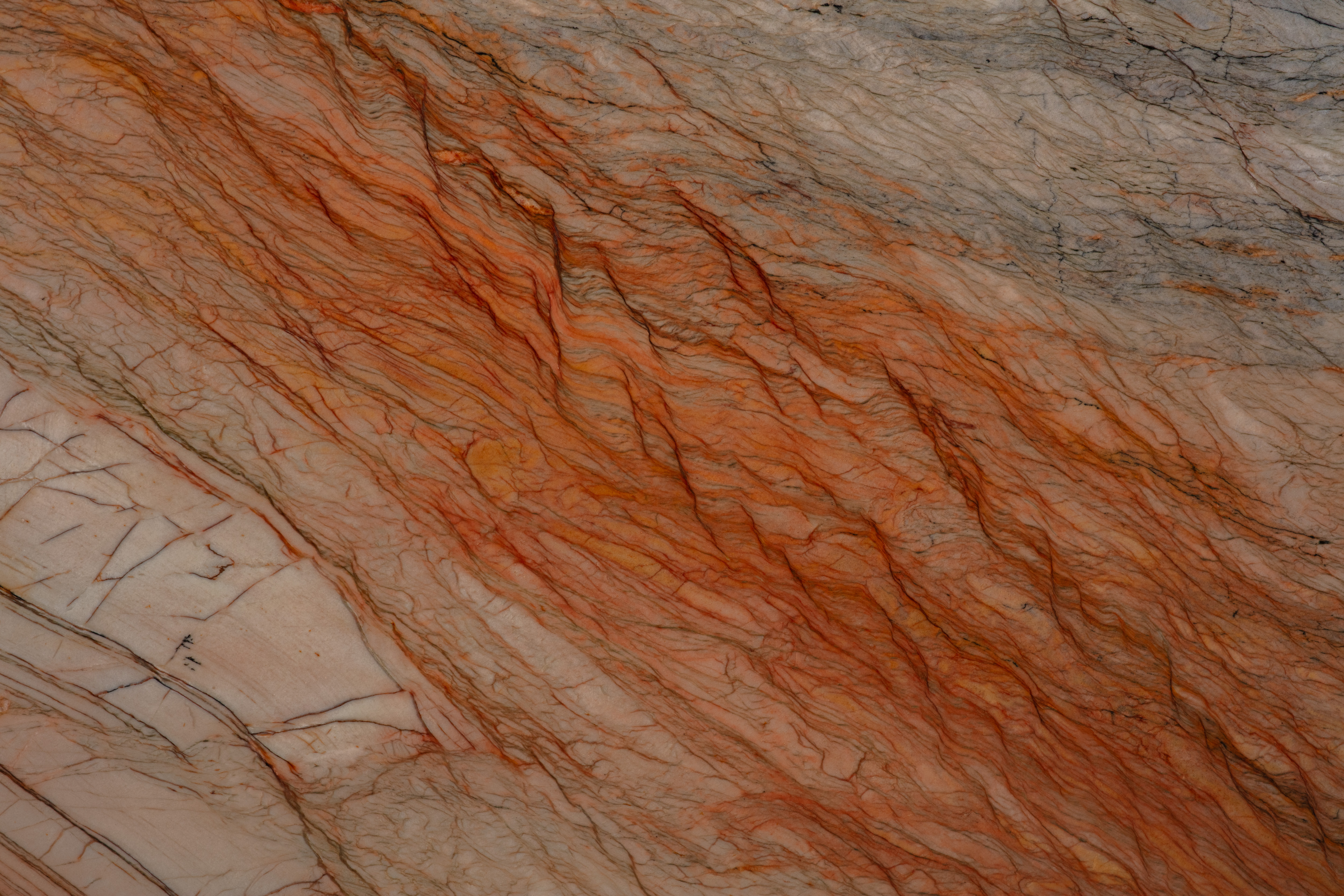 COLORADO  - фото 5