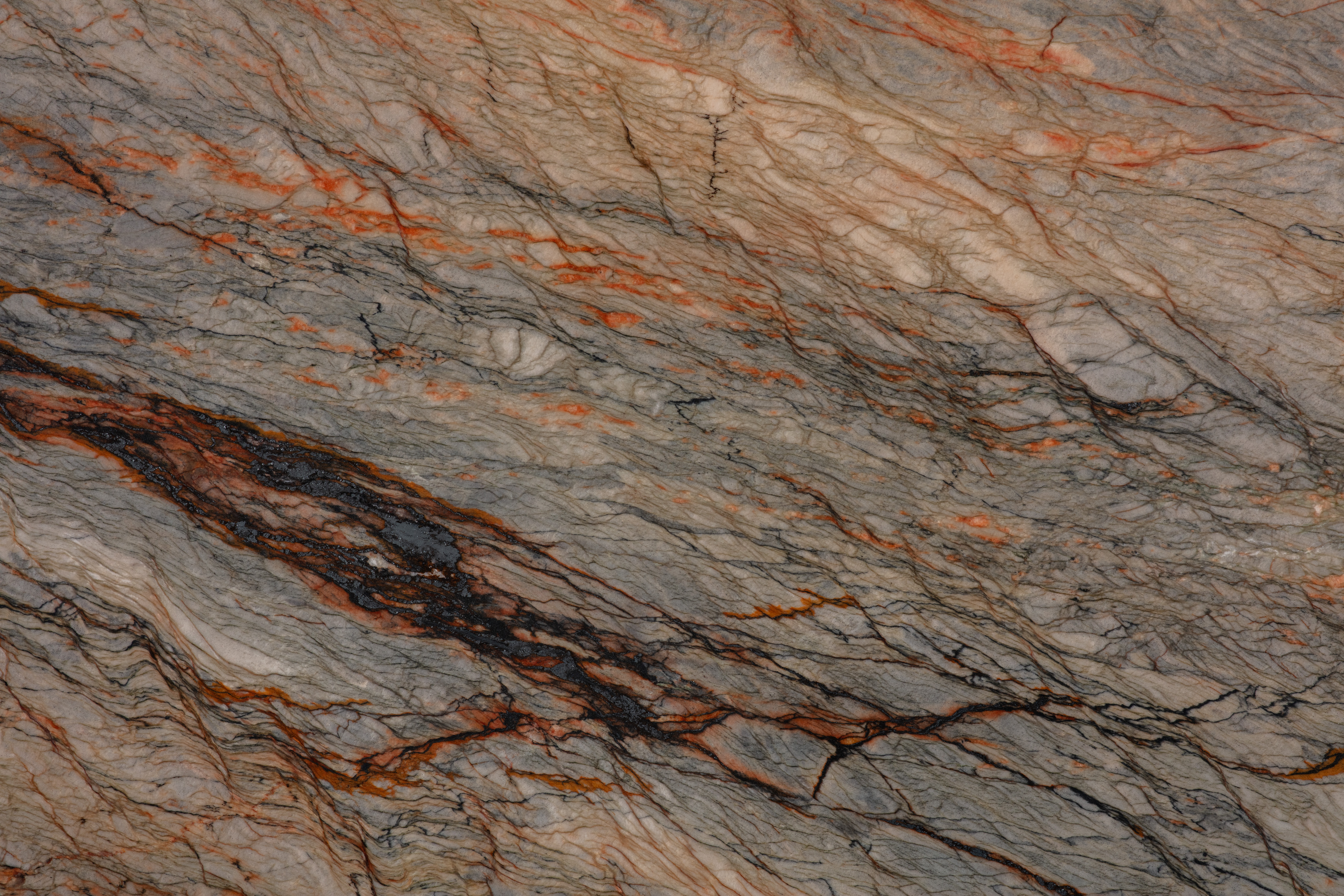 COLORADO  - фото 7