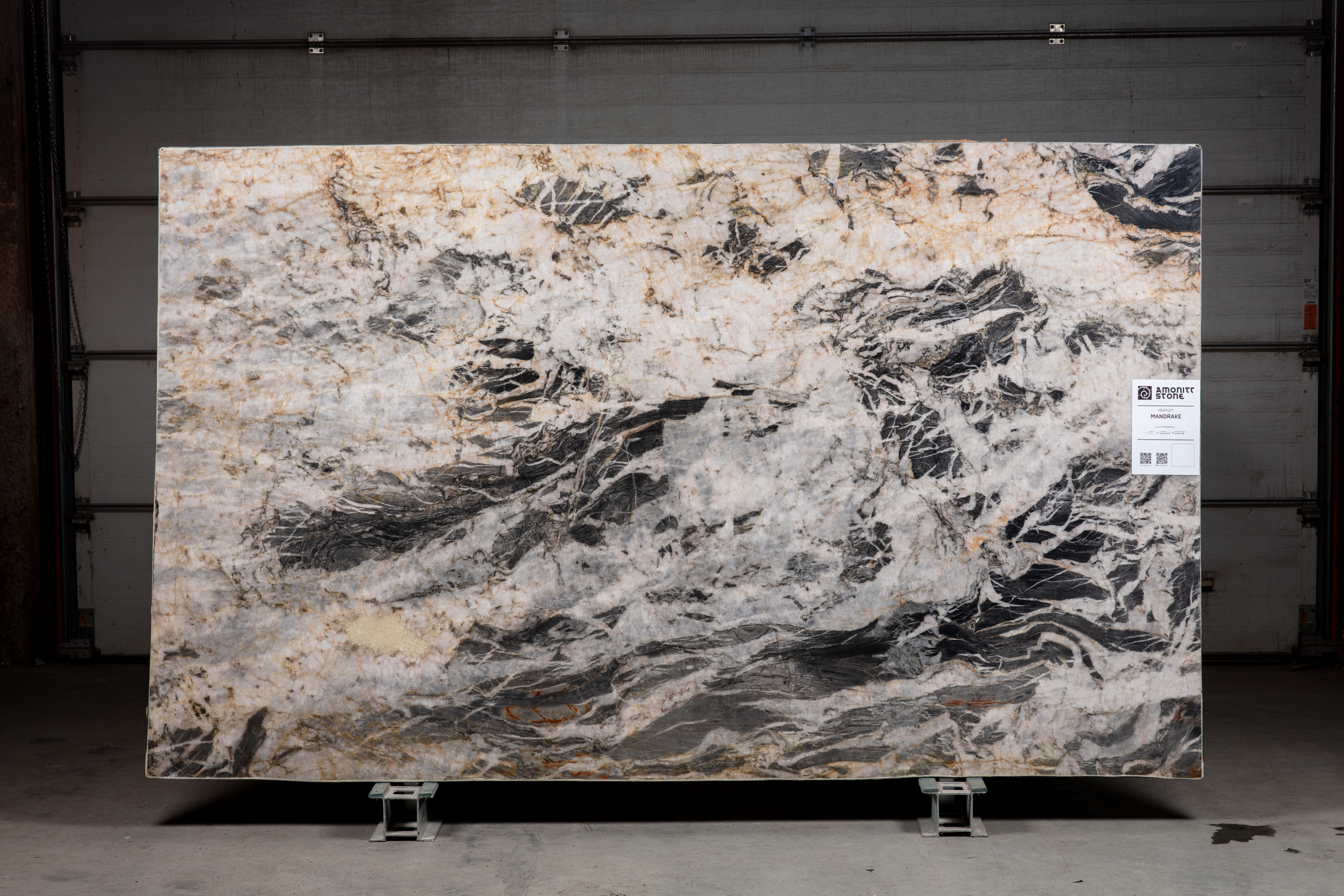 MANDRAKE - фото 1