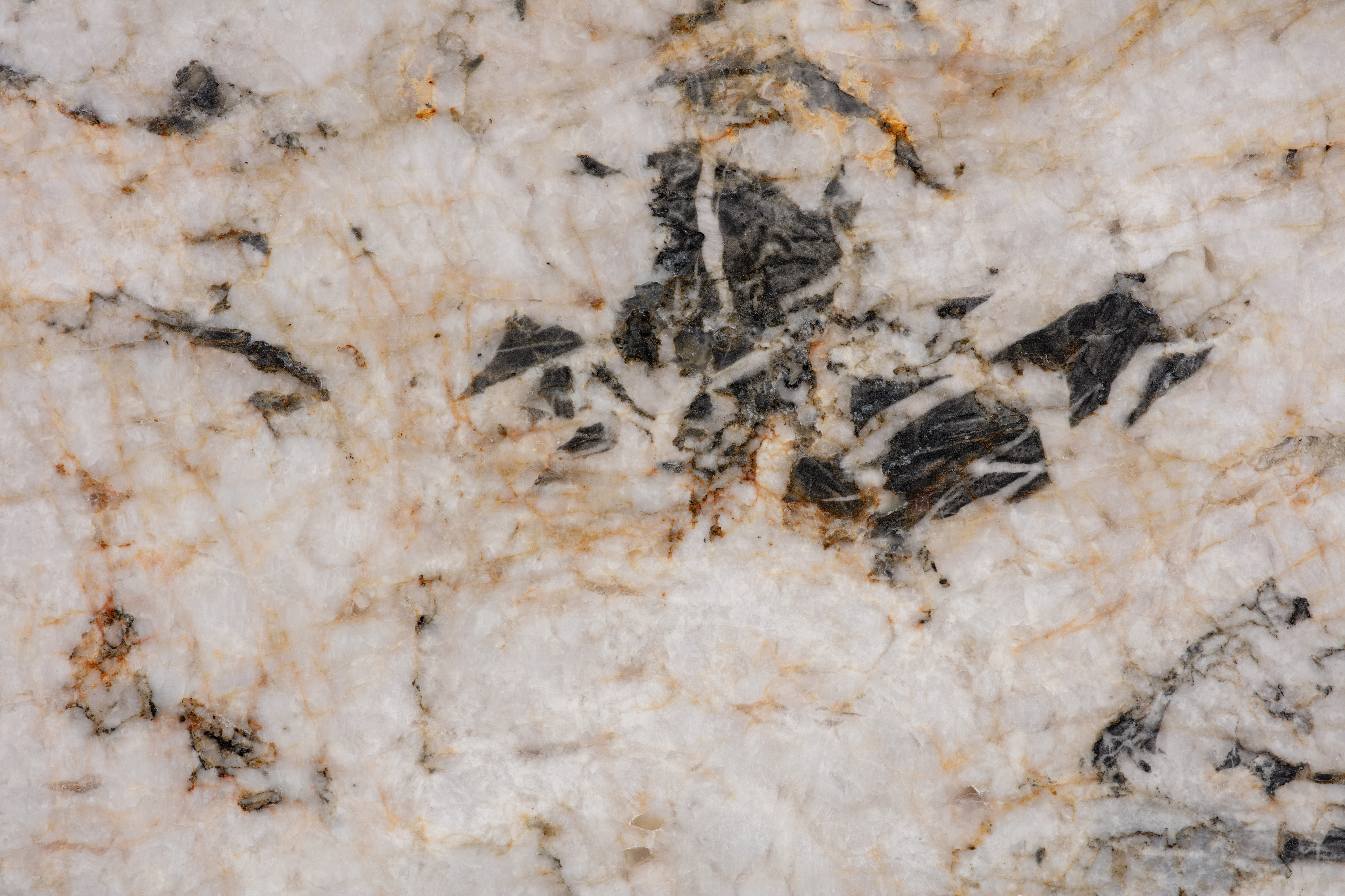 MANDRAKE - фото 8