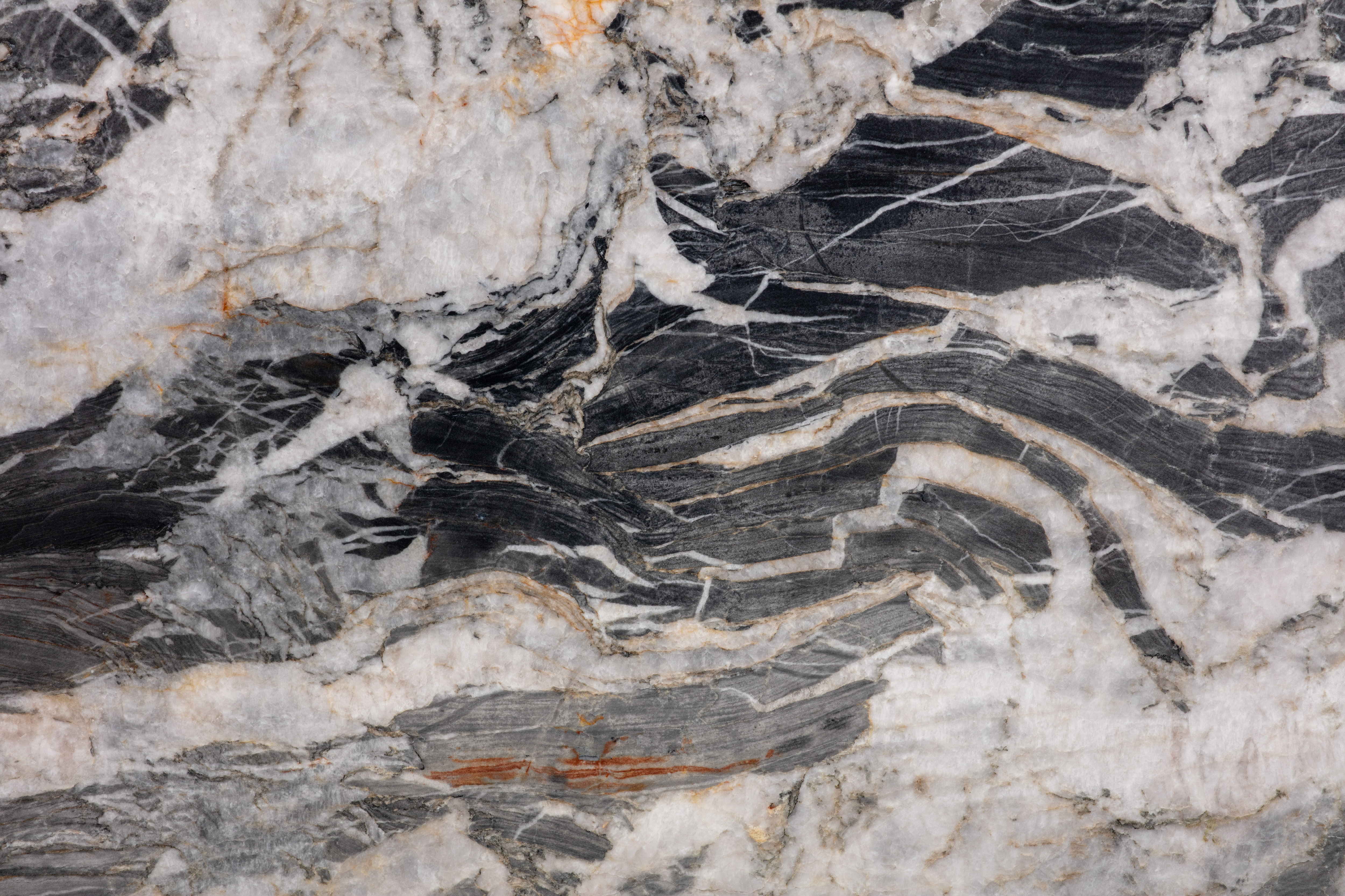 MANDRAKE - фото 2