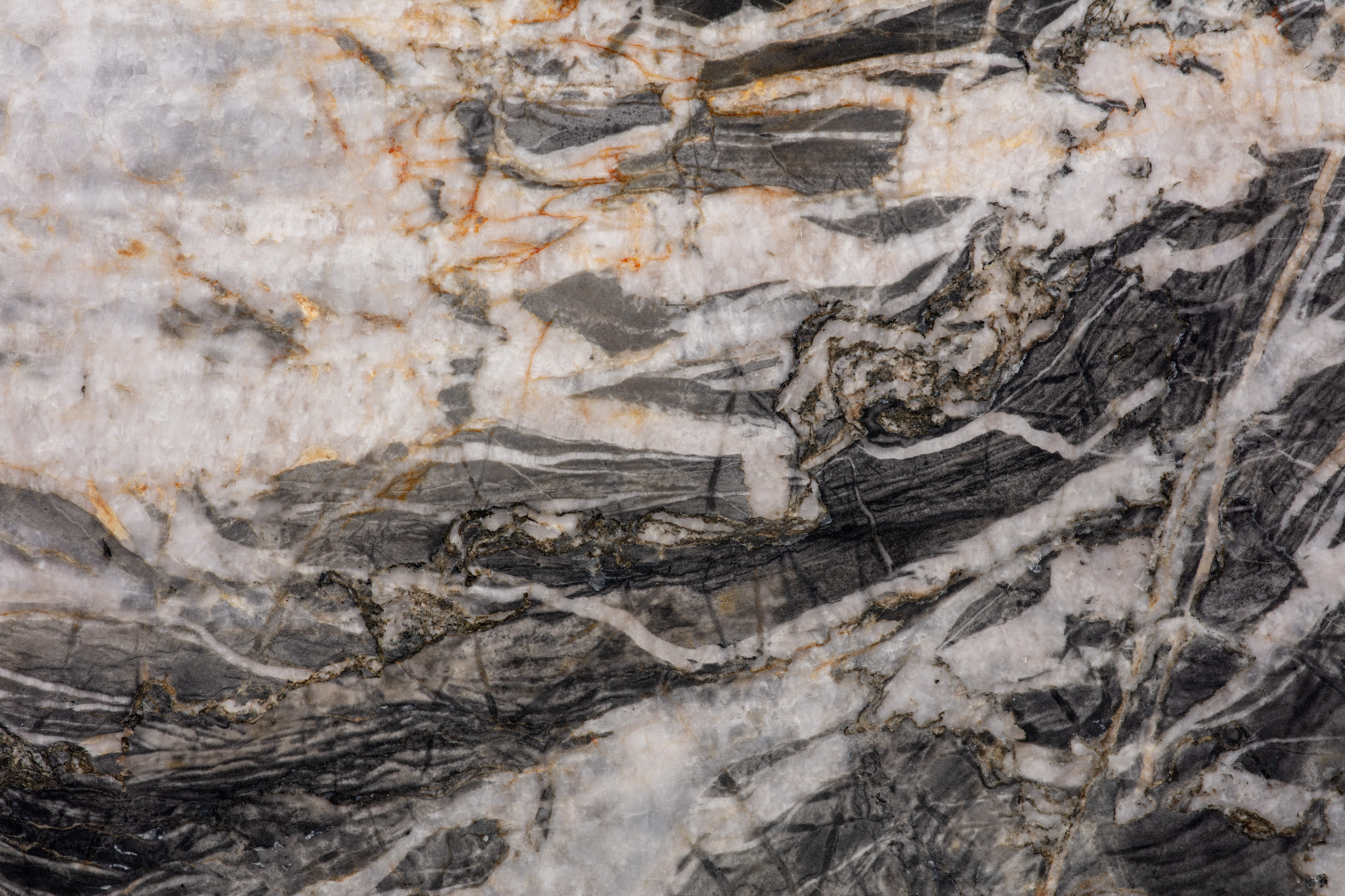 MANDRAKE - фото 4