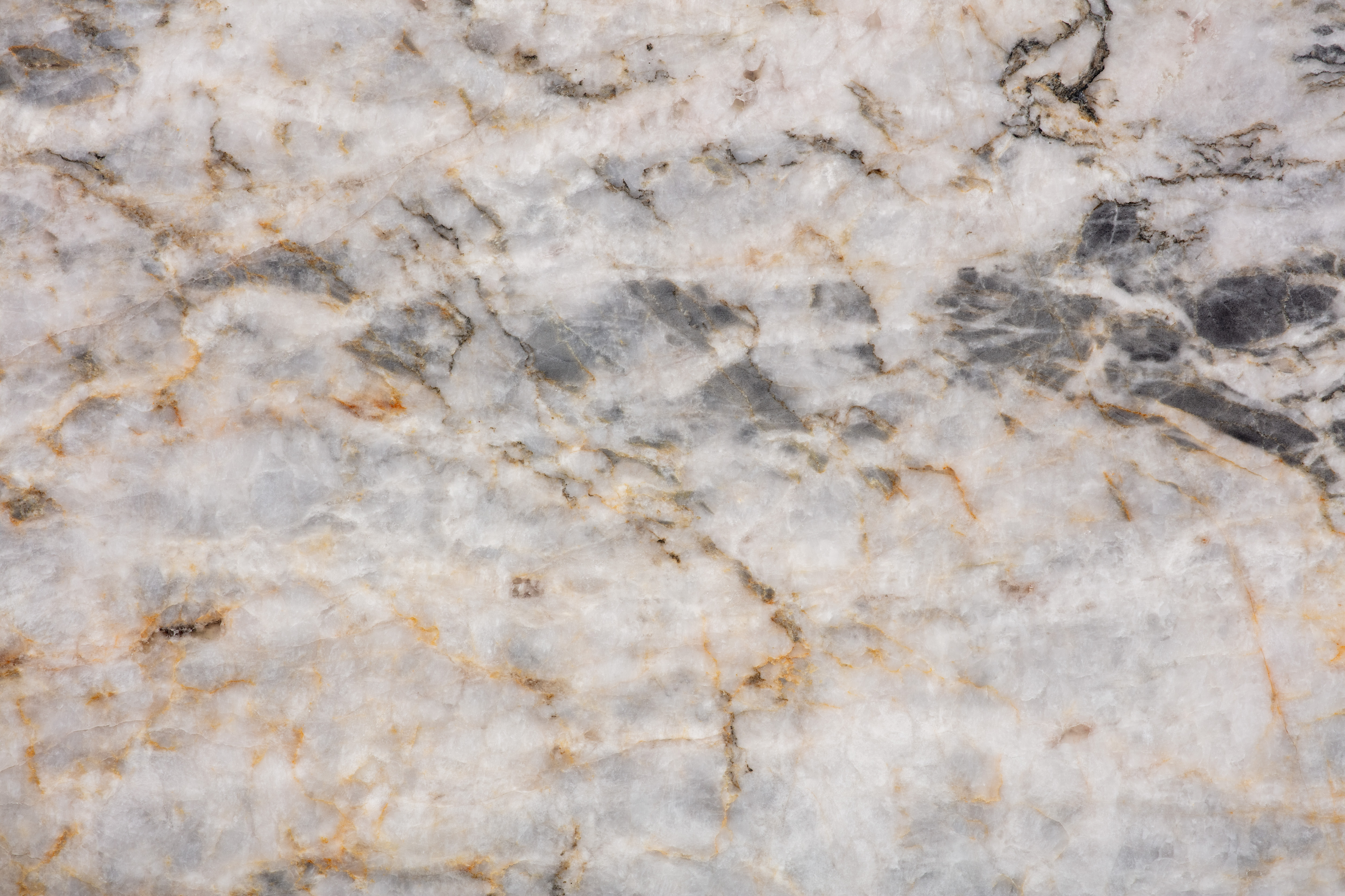 MANDRAKE - фото 5