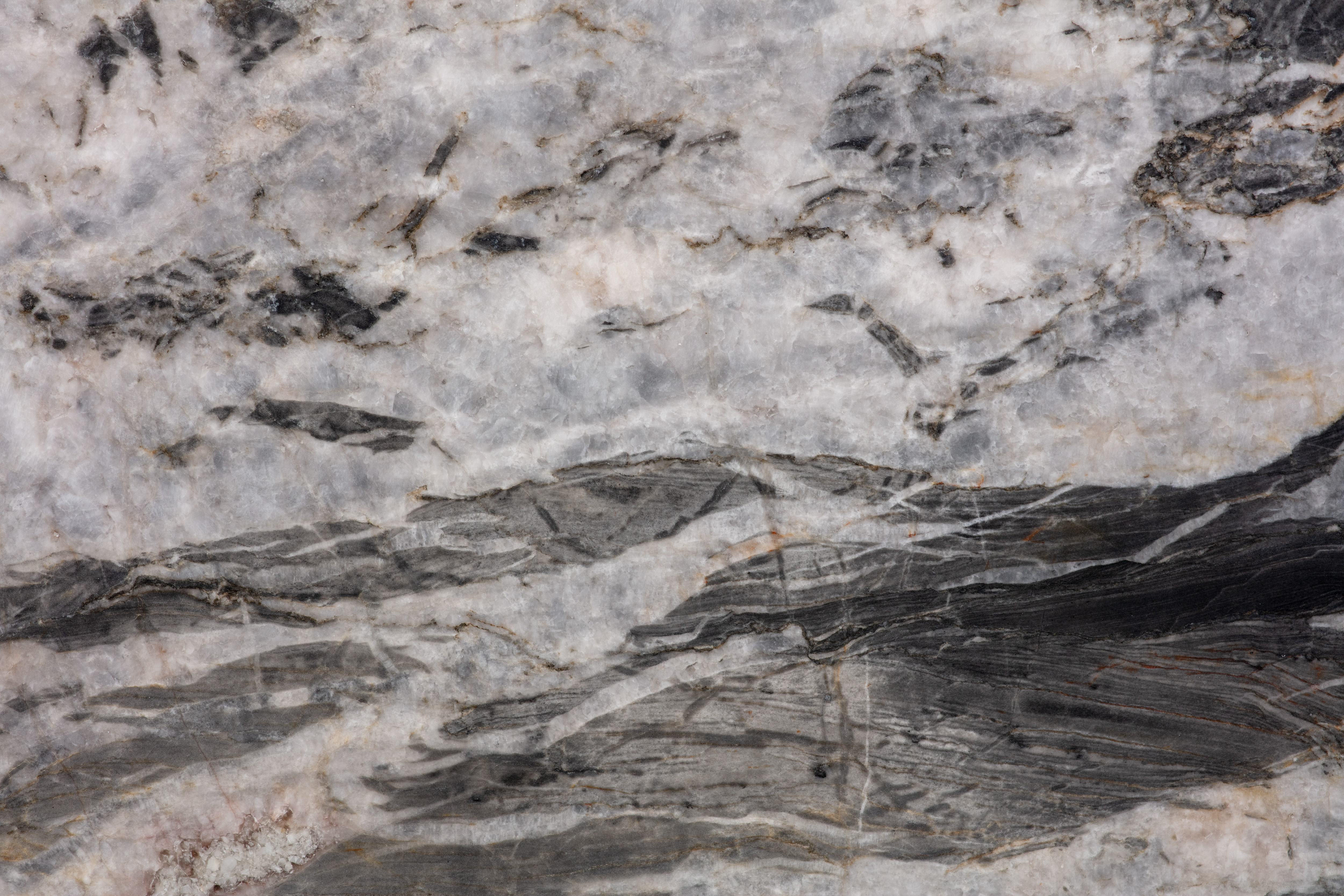 MANDRAKE - фото 7