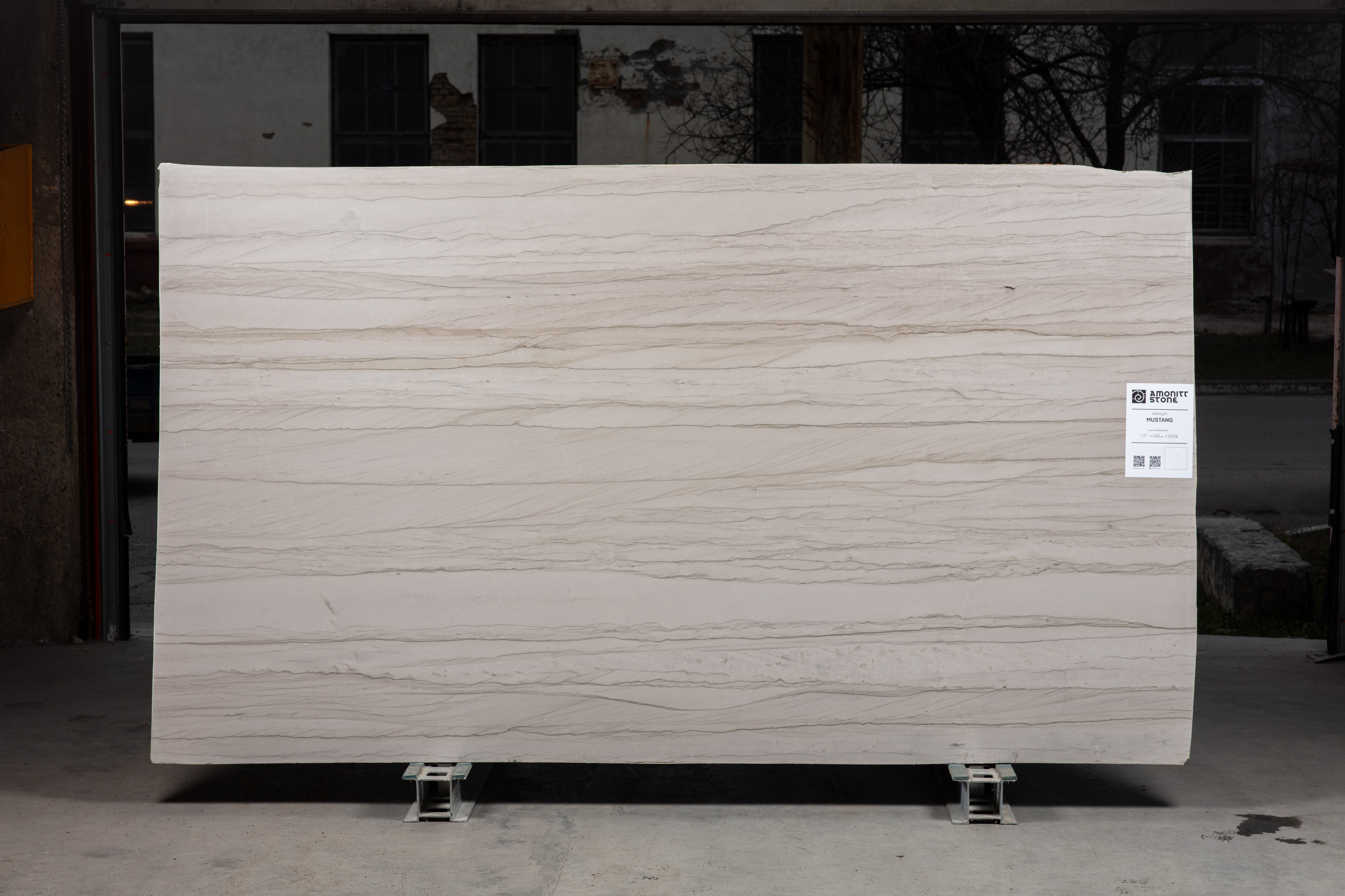 MUSTANG - фото 1