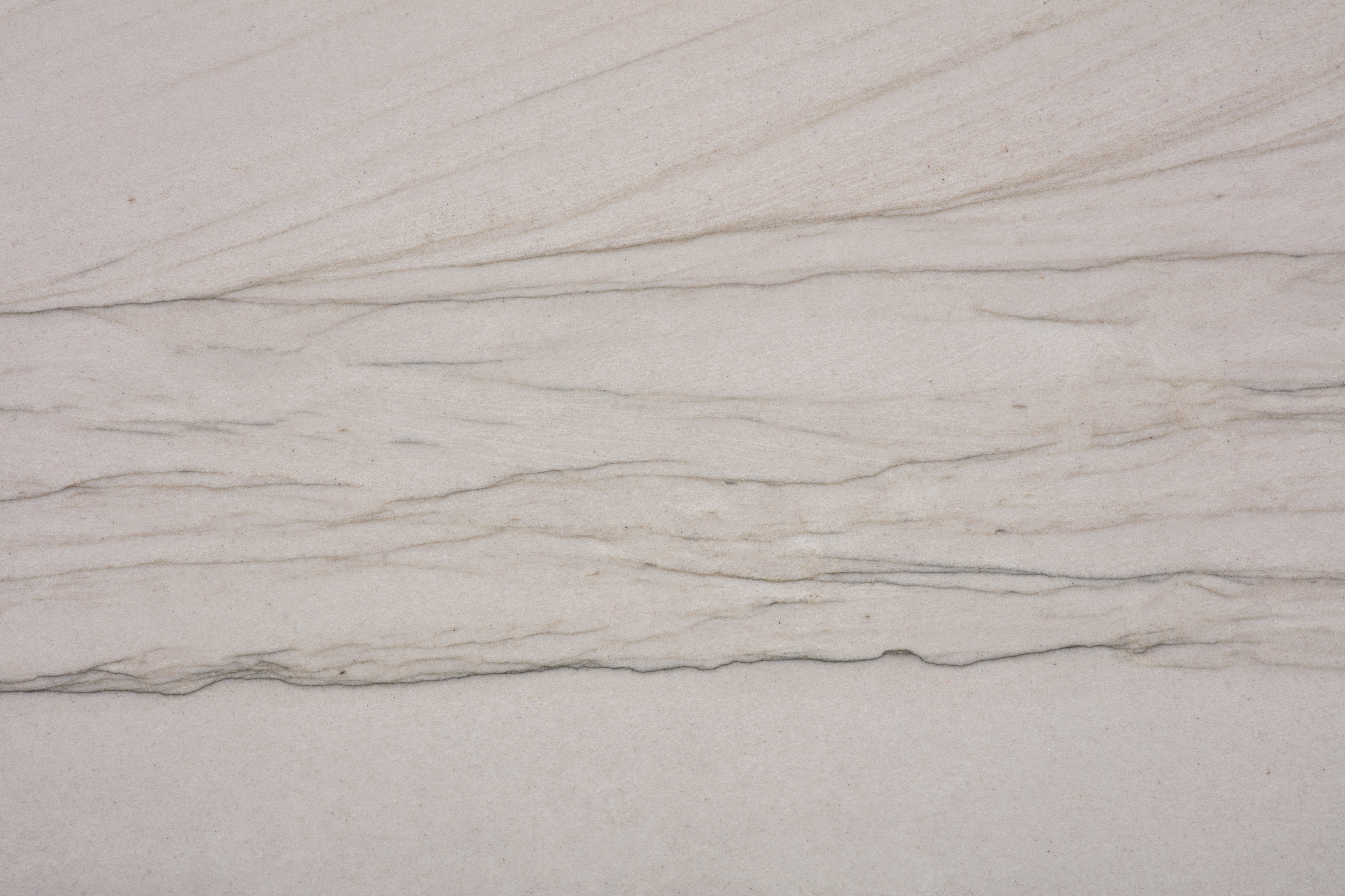 MUSTANG - фото 2