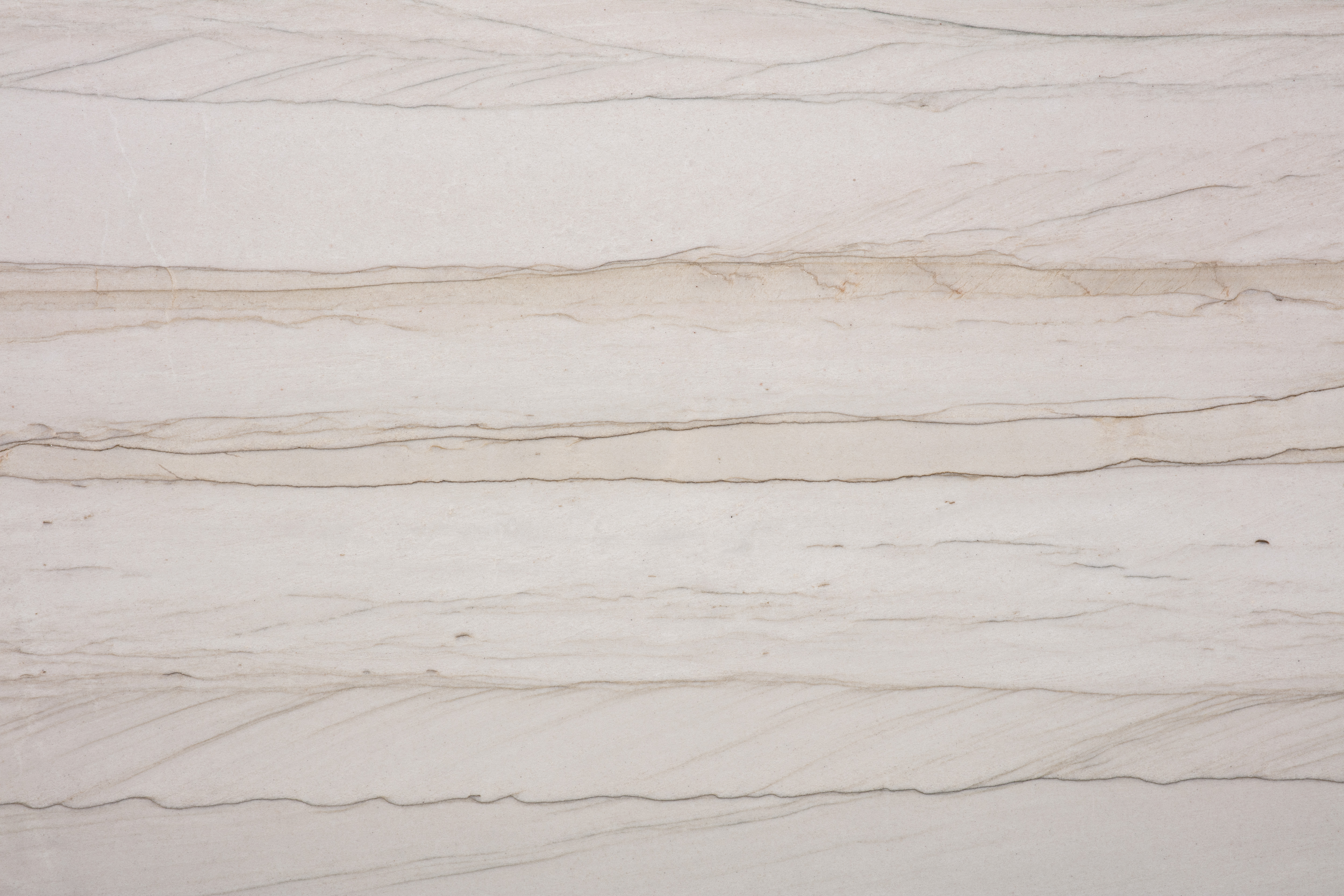 MUSTANG - фото 3