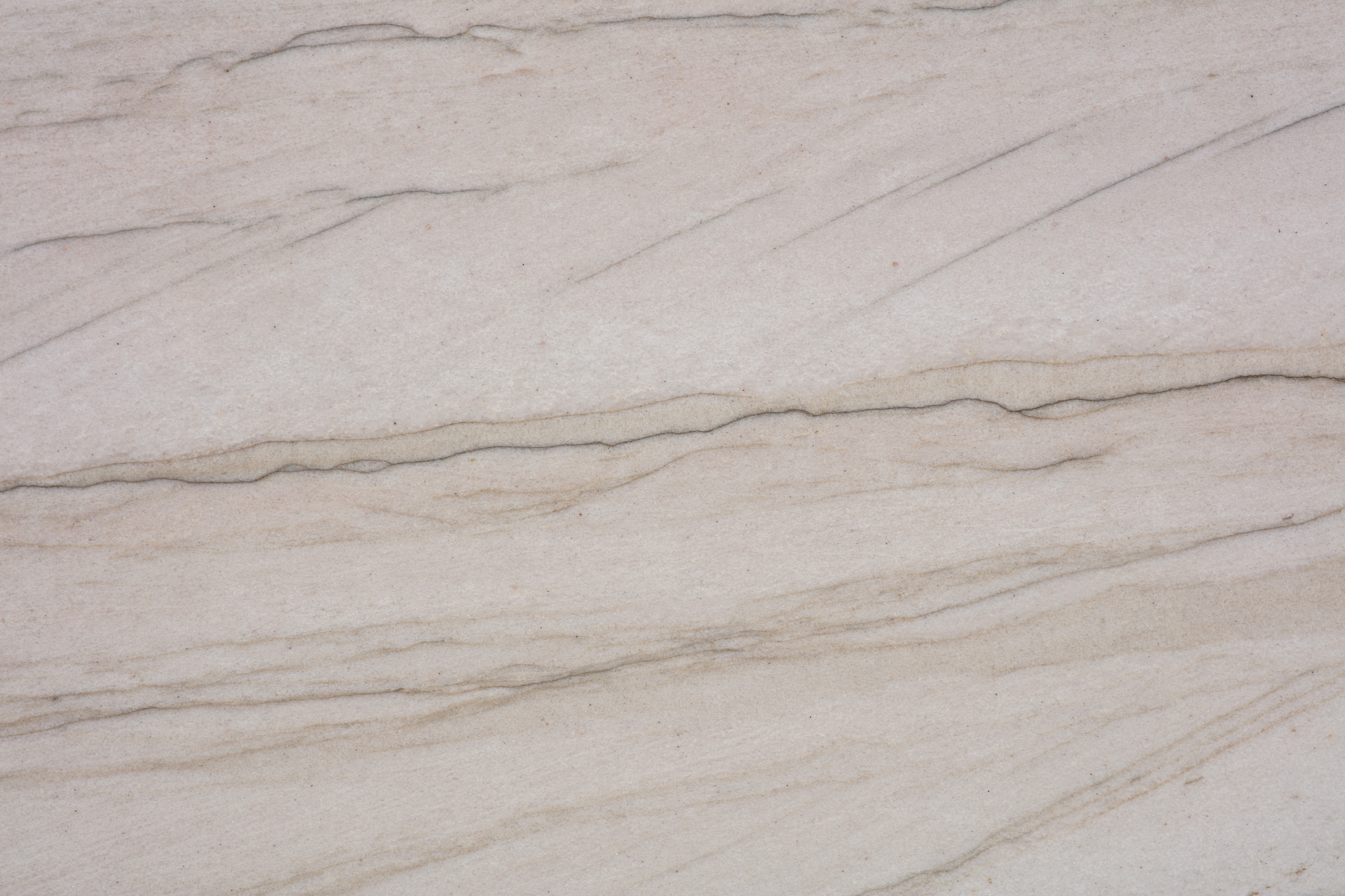 MUSTANG - фото 6