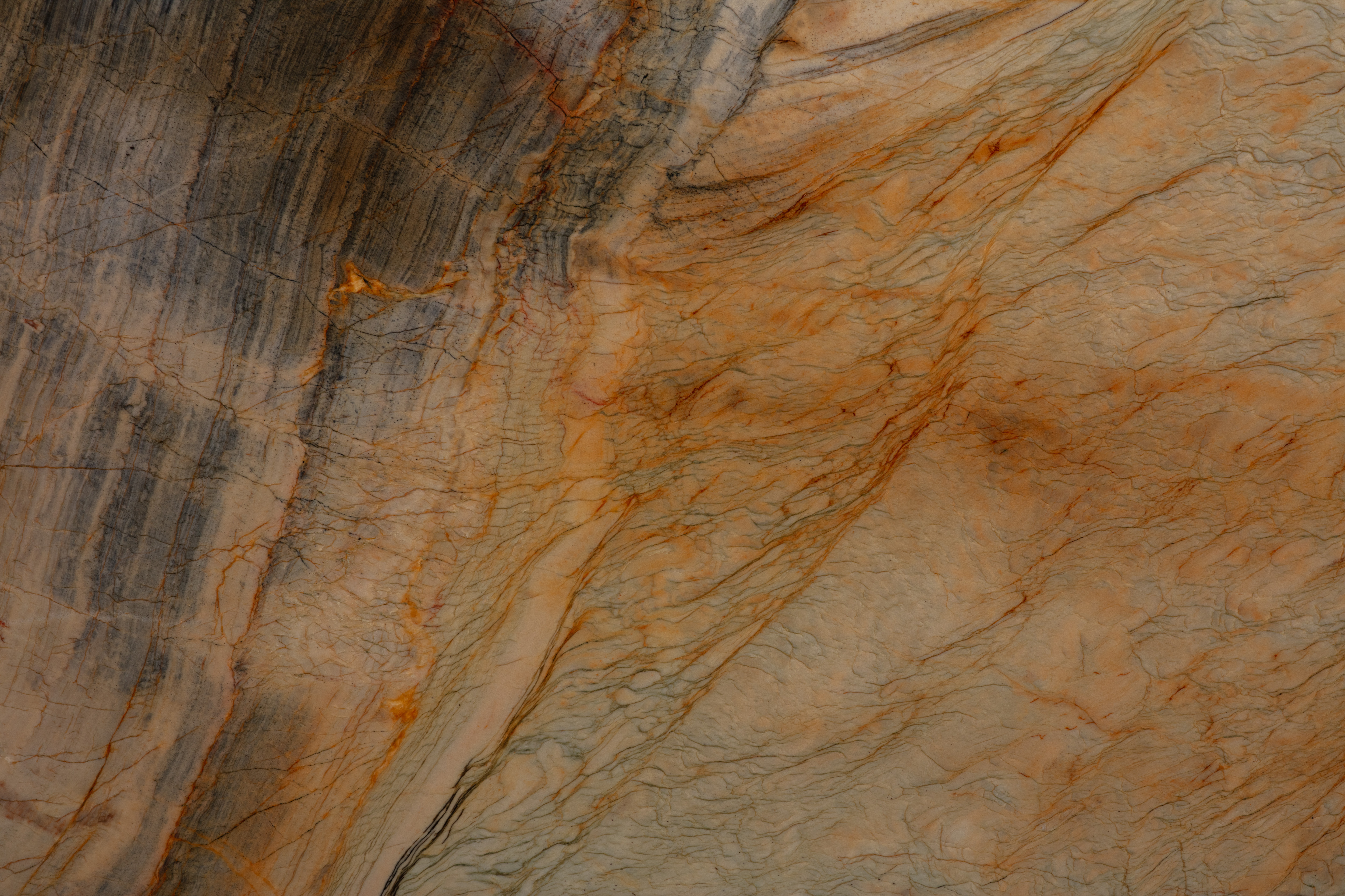 PARADISE - фото 2