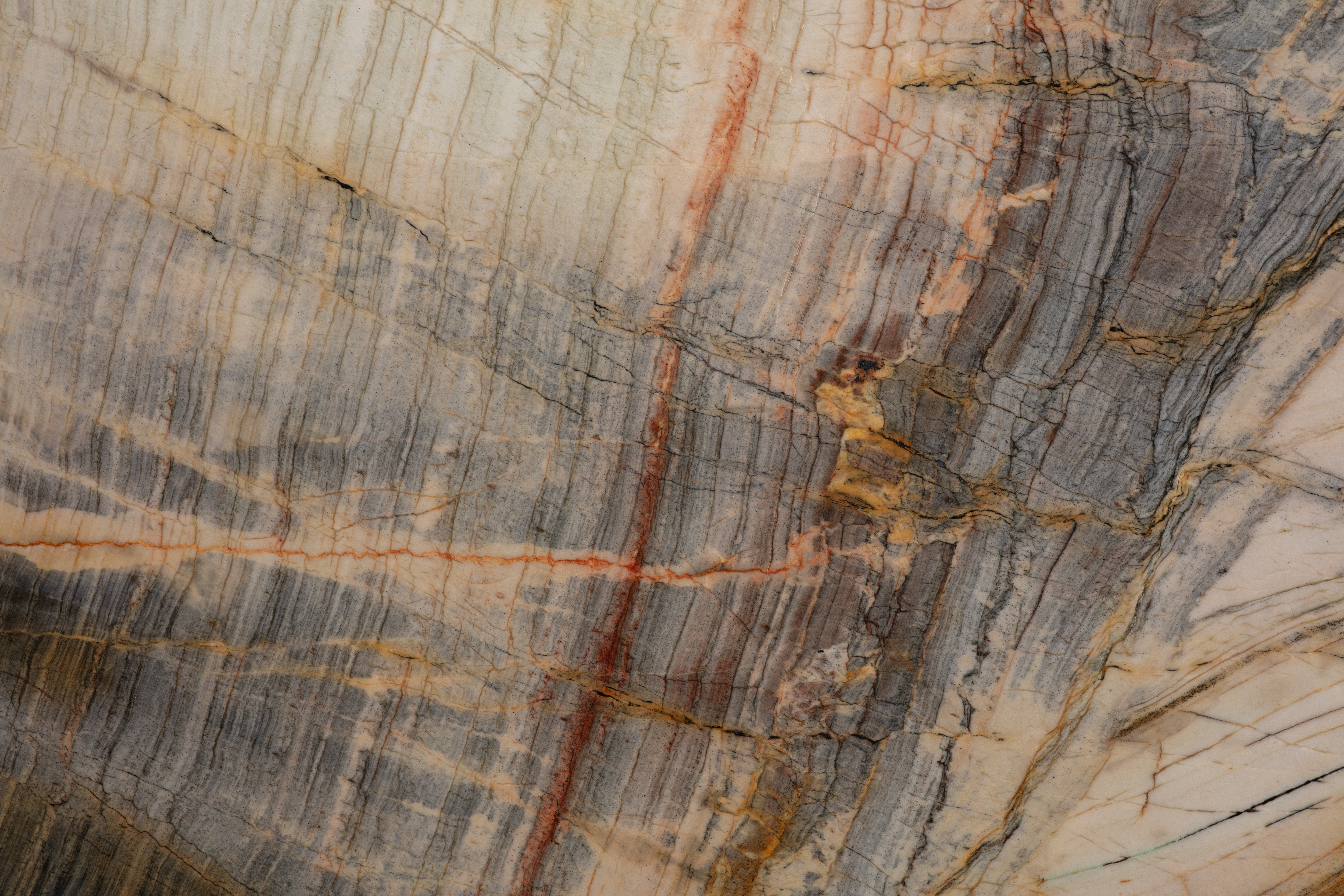 PARADISE - фото 3