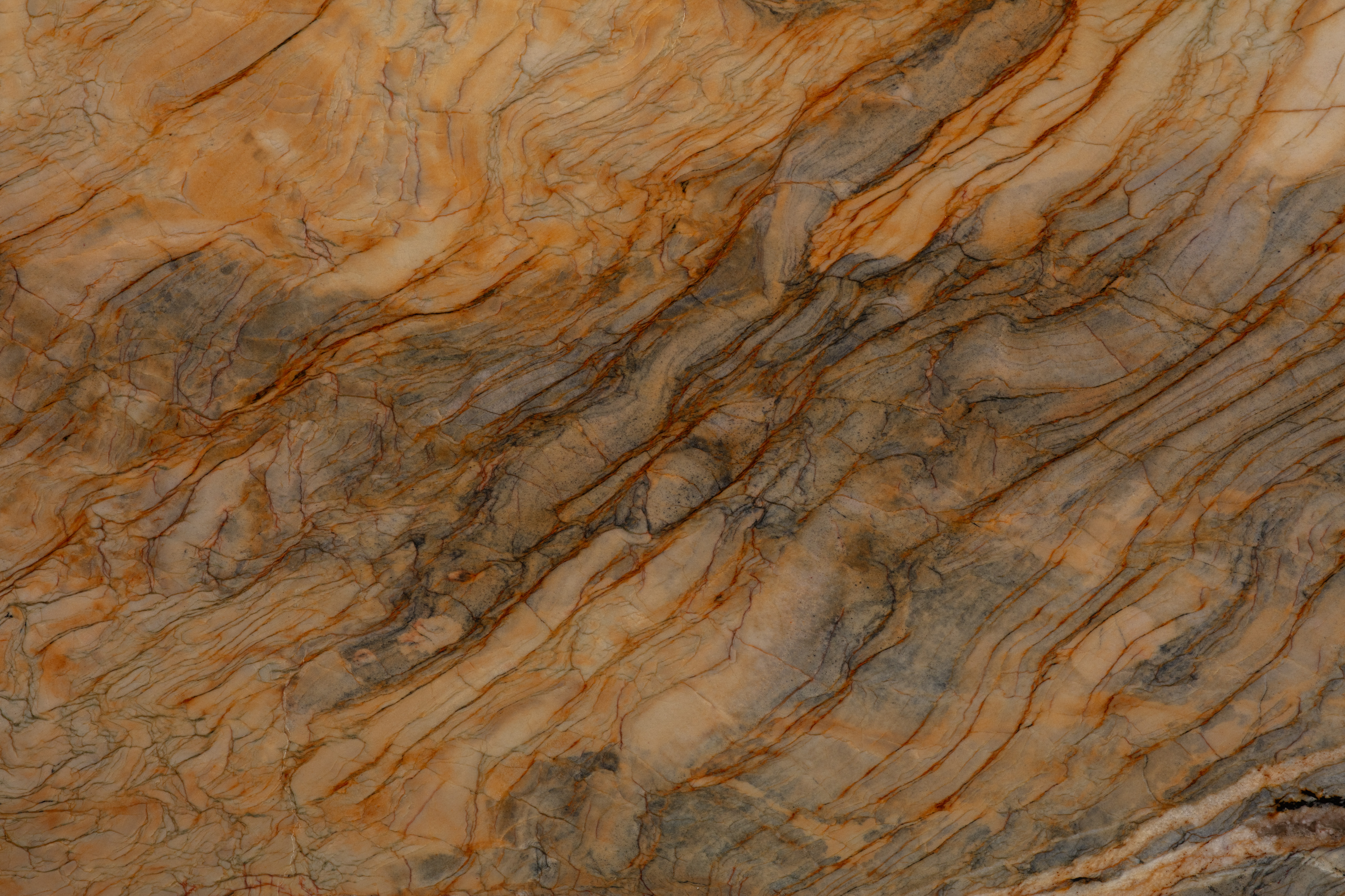 PARADISE - фото 5