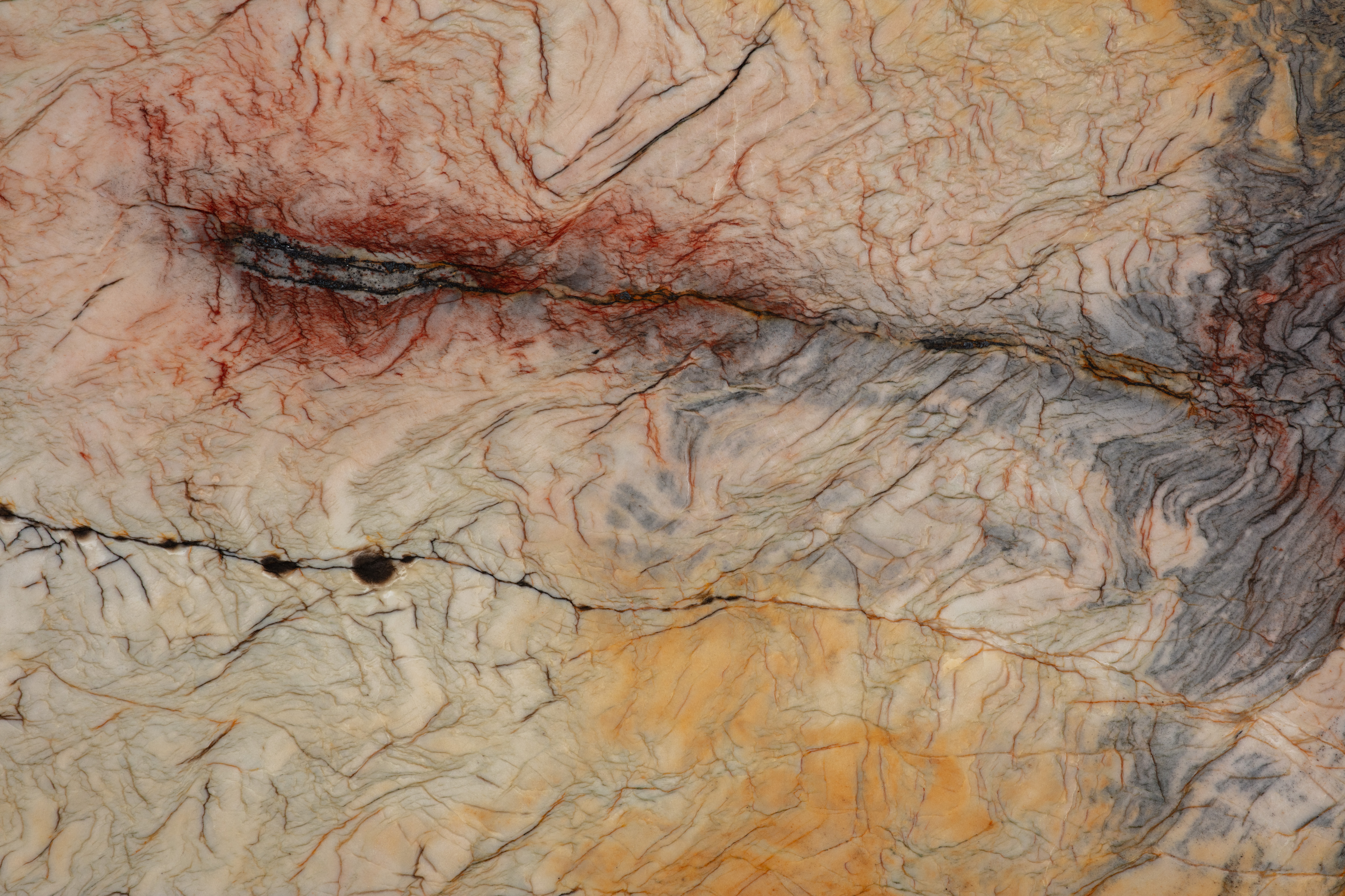 PARADISE - фото 6